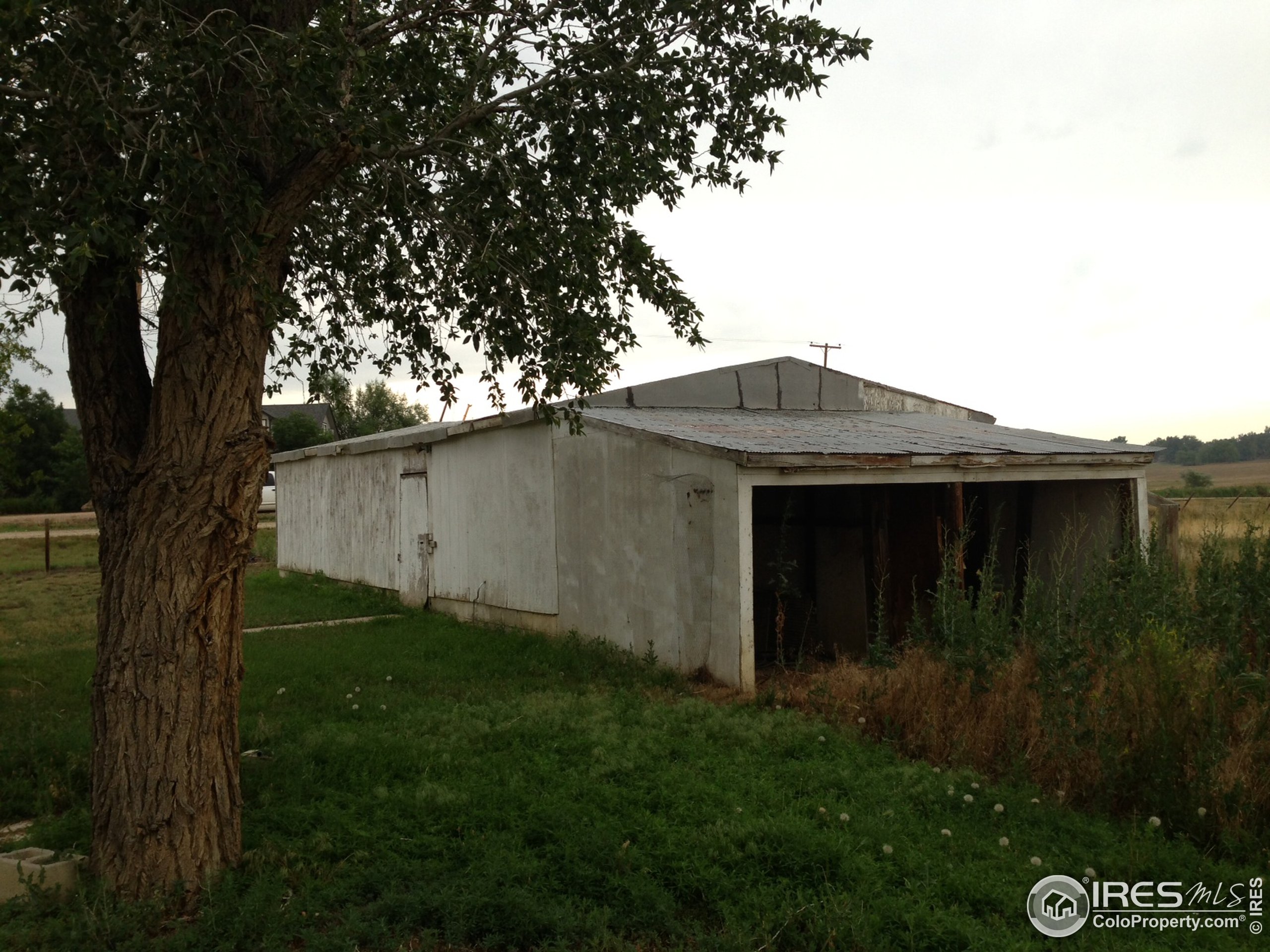 1451 Wildrose Dr