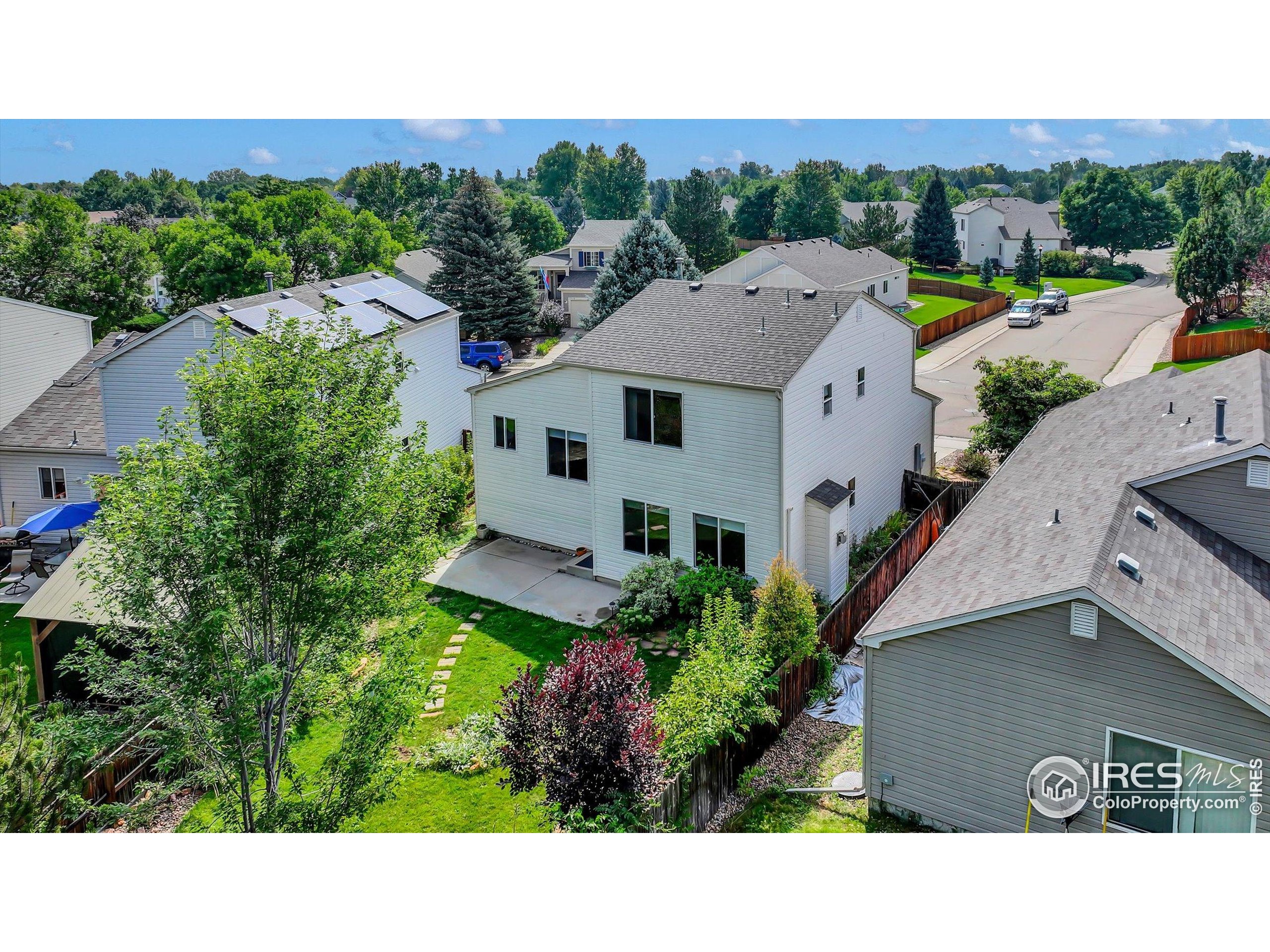 1451 Wildrose Dr