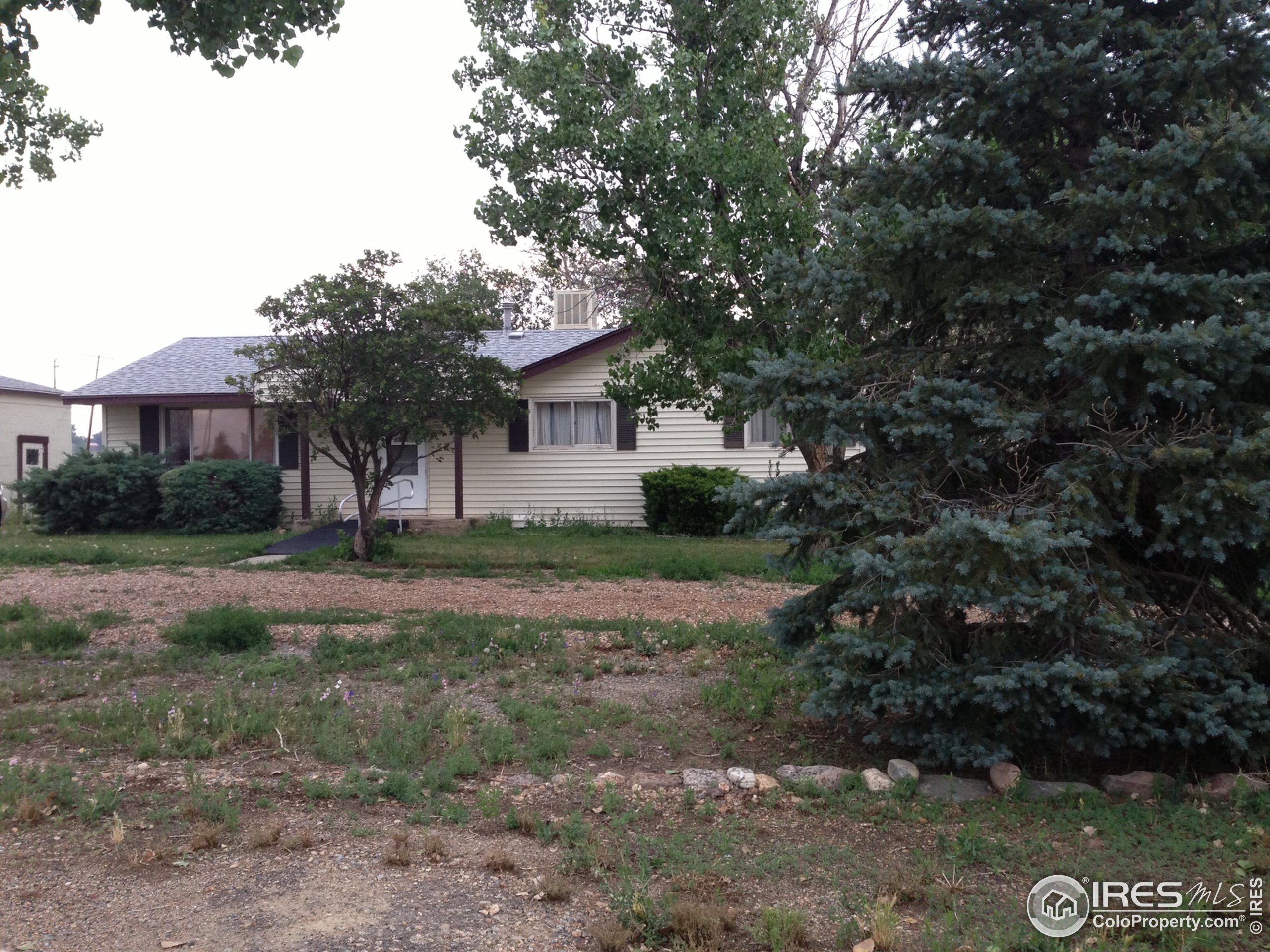 1451 Wildrose Dr