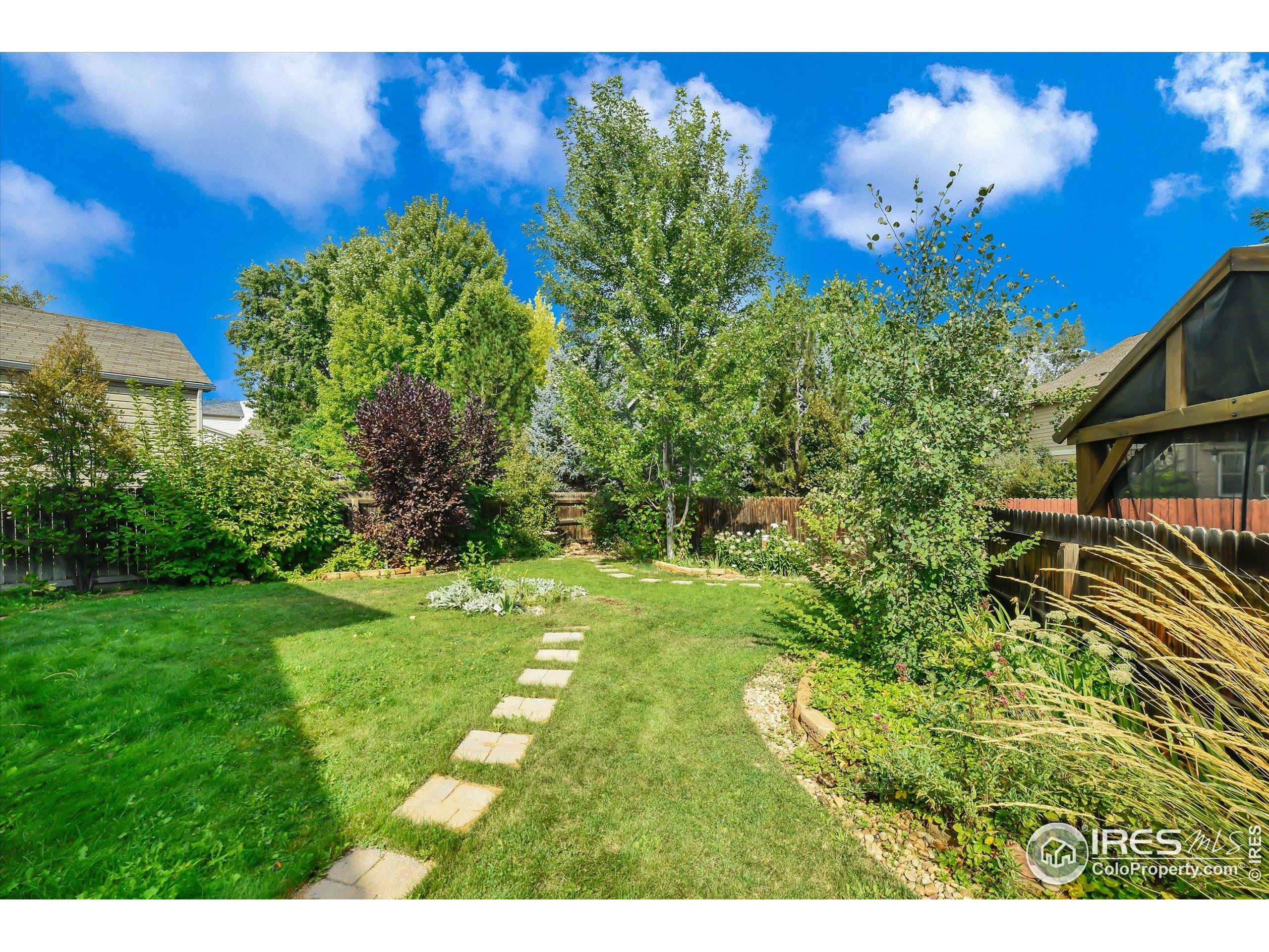 1451 Wildrose Dr