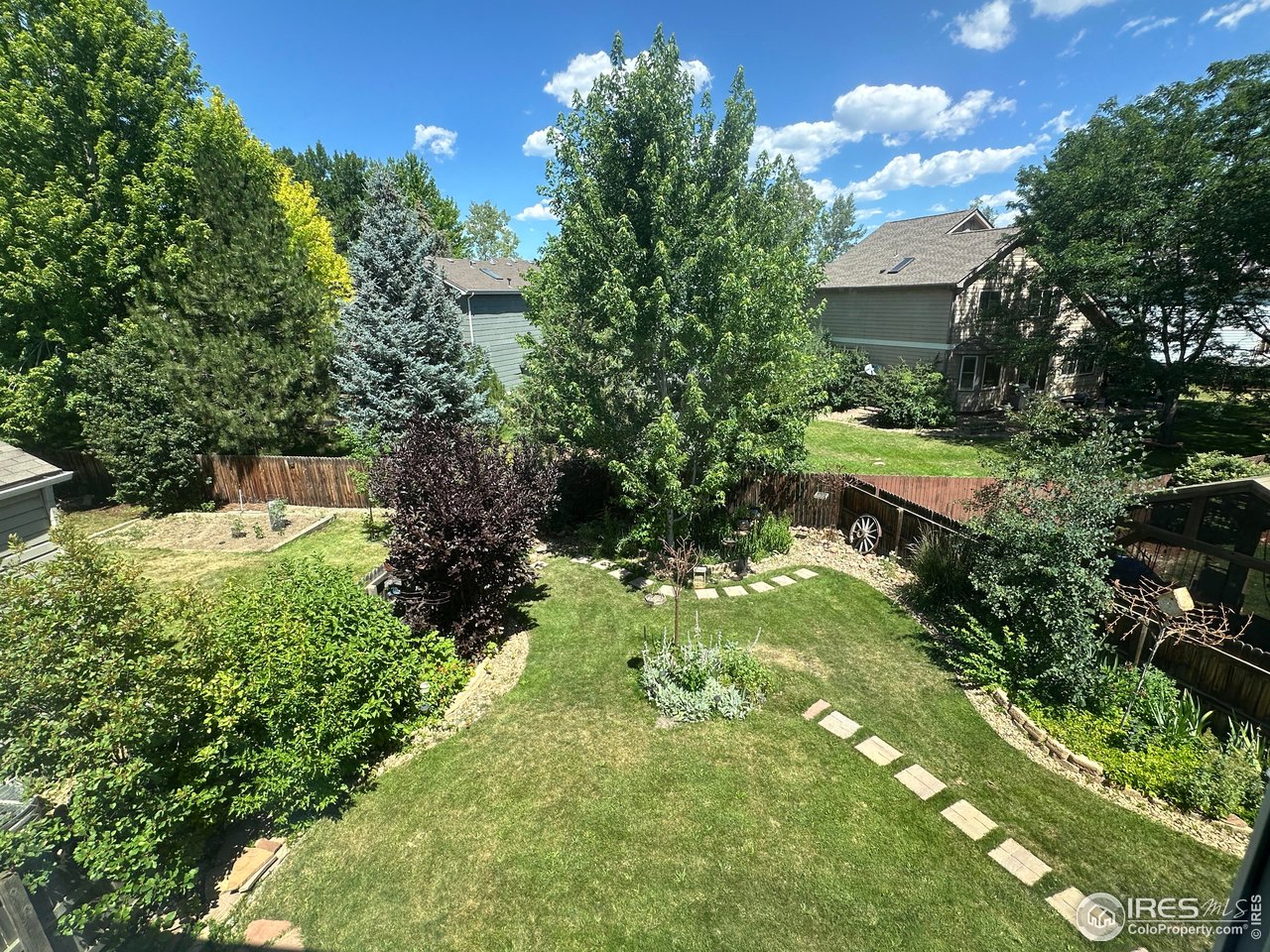 1451 Wildrose Dr
