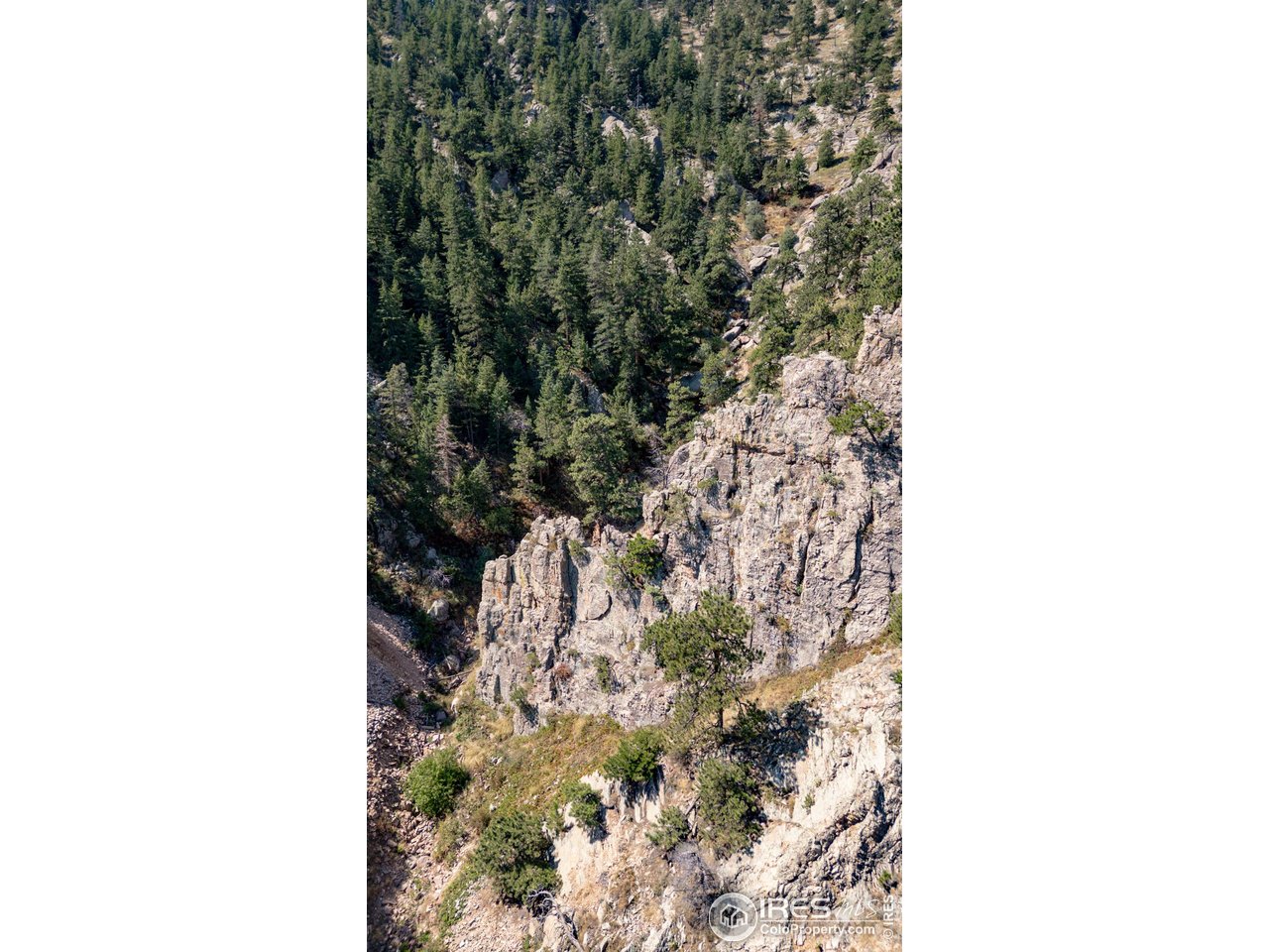 320 S Cedar Brook Rd