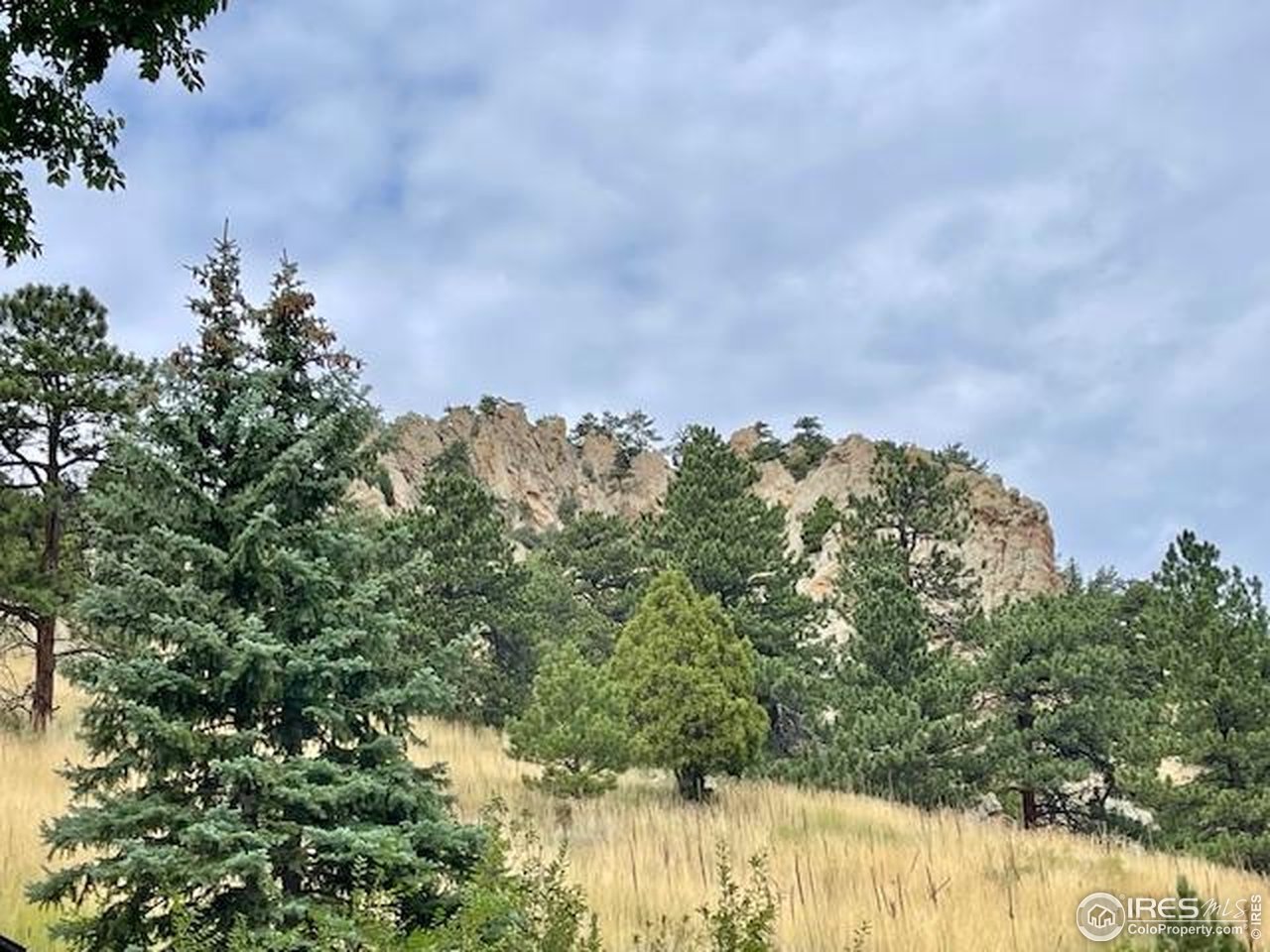 320 S Cedar Brook Rd