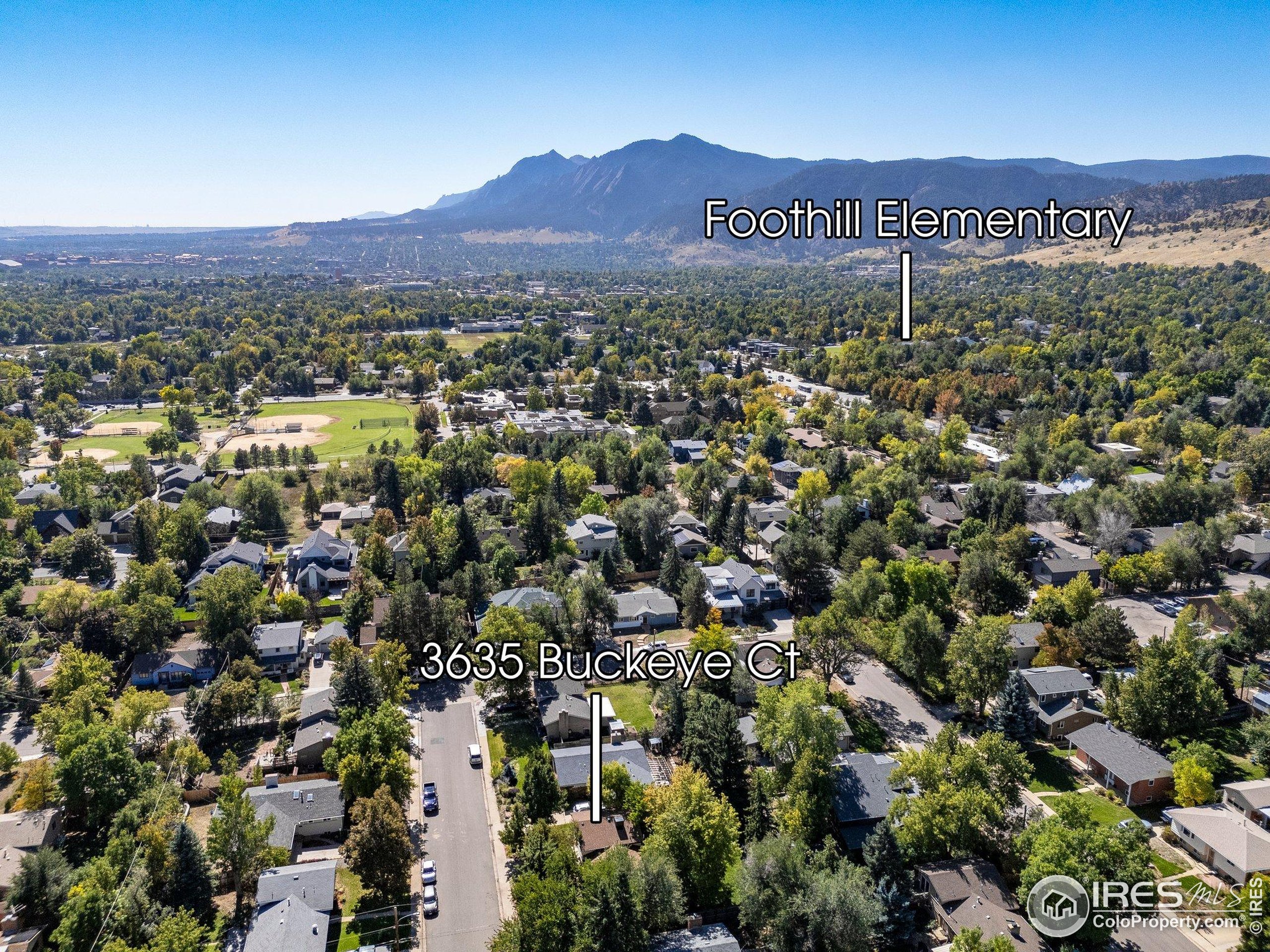 3635 Buckeye Ct