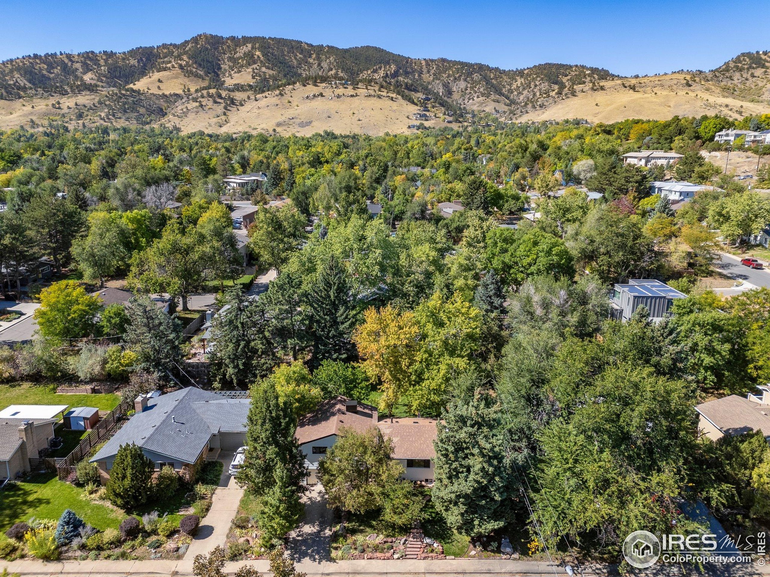 3635 Buckeye Ct