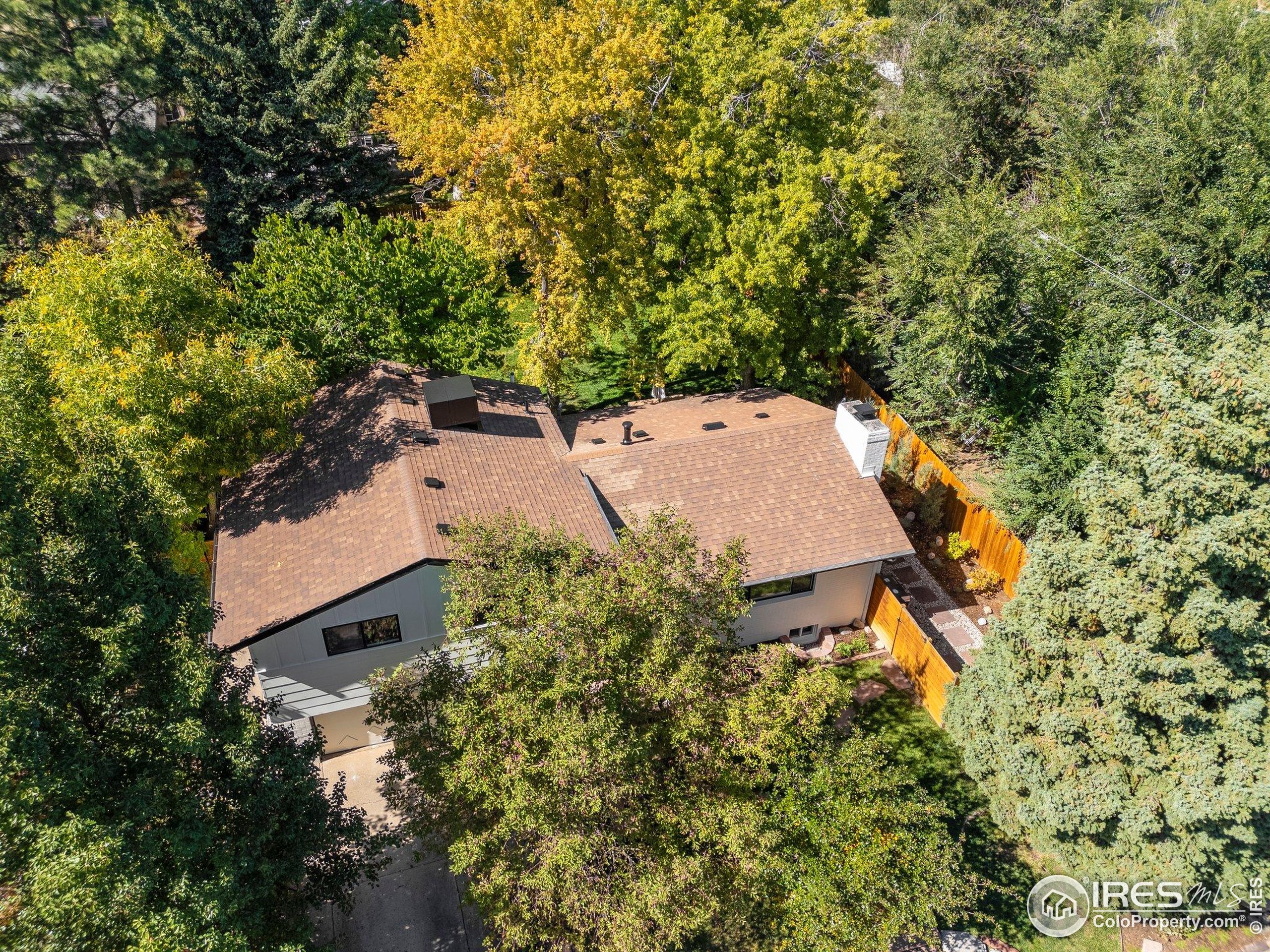 3635 Buckeye Ct