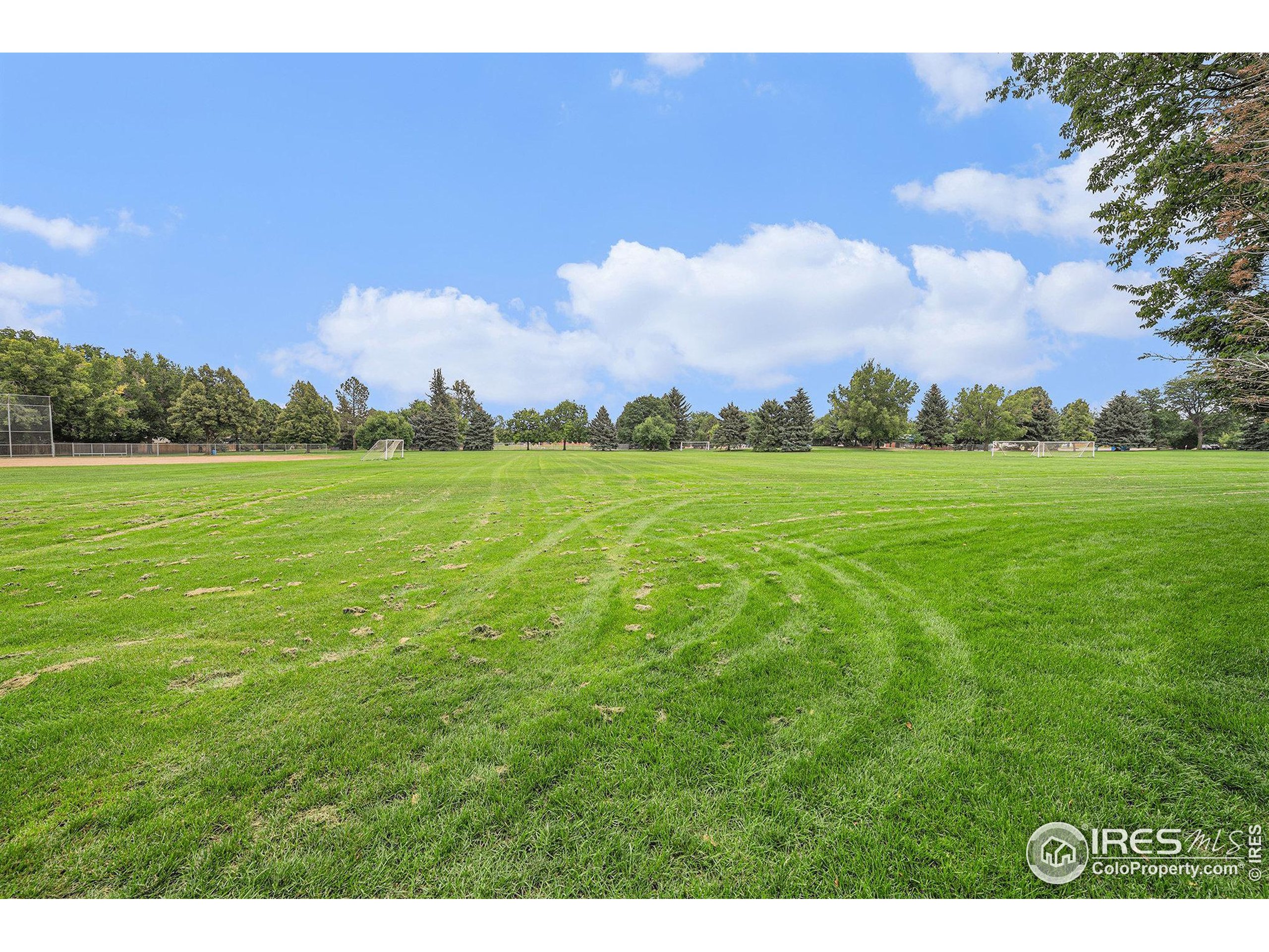 206 Dean Cir Loveland