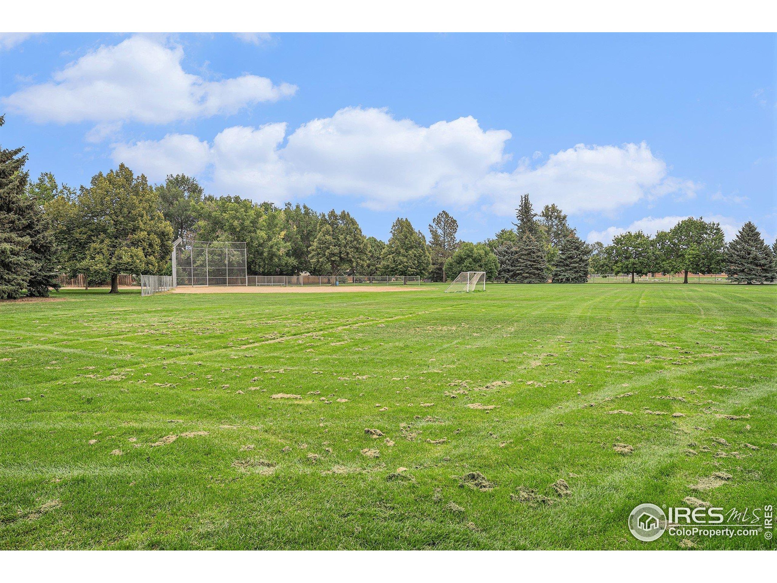 206 Dean Cir Loveland