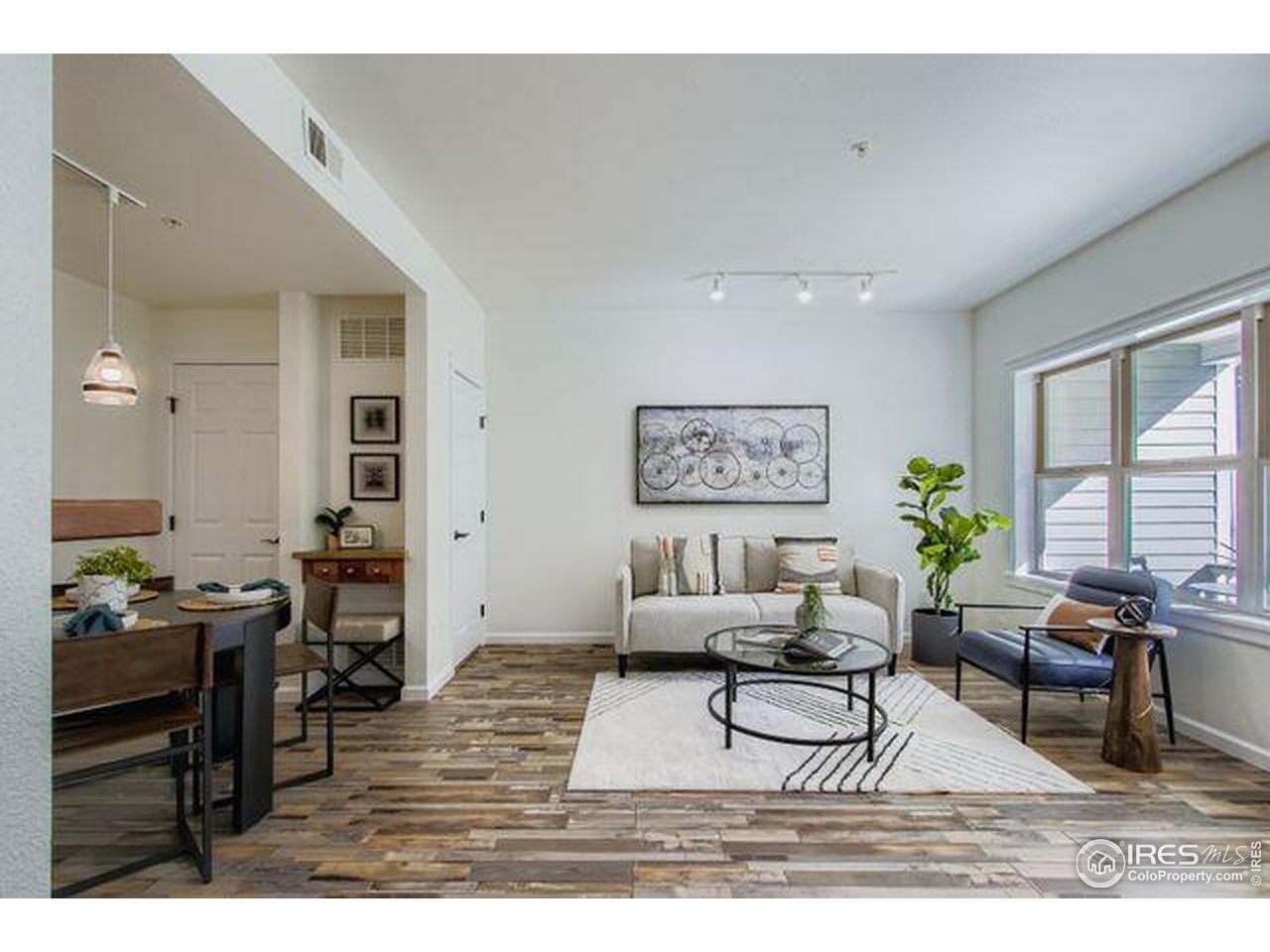 1515 Zamia Ave 3