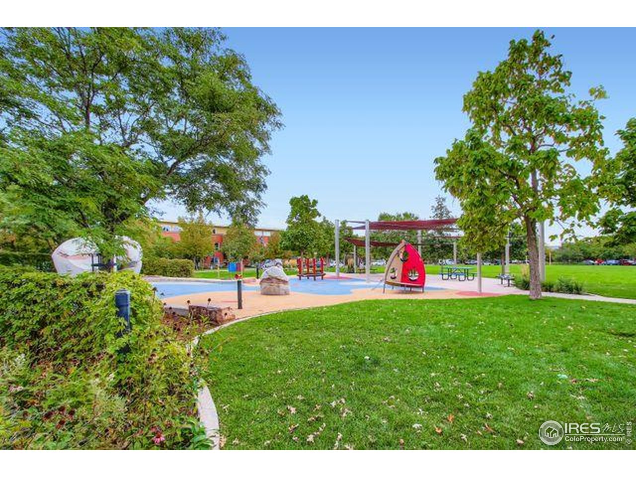 1515 Zamia Ave 3