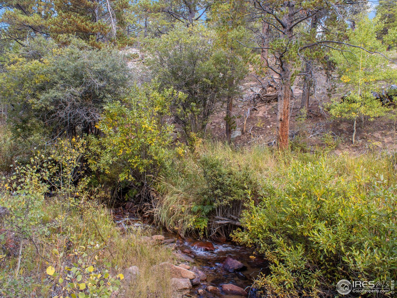 761 Cabin Creek Rd