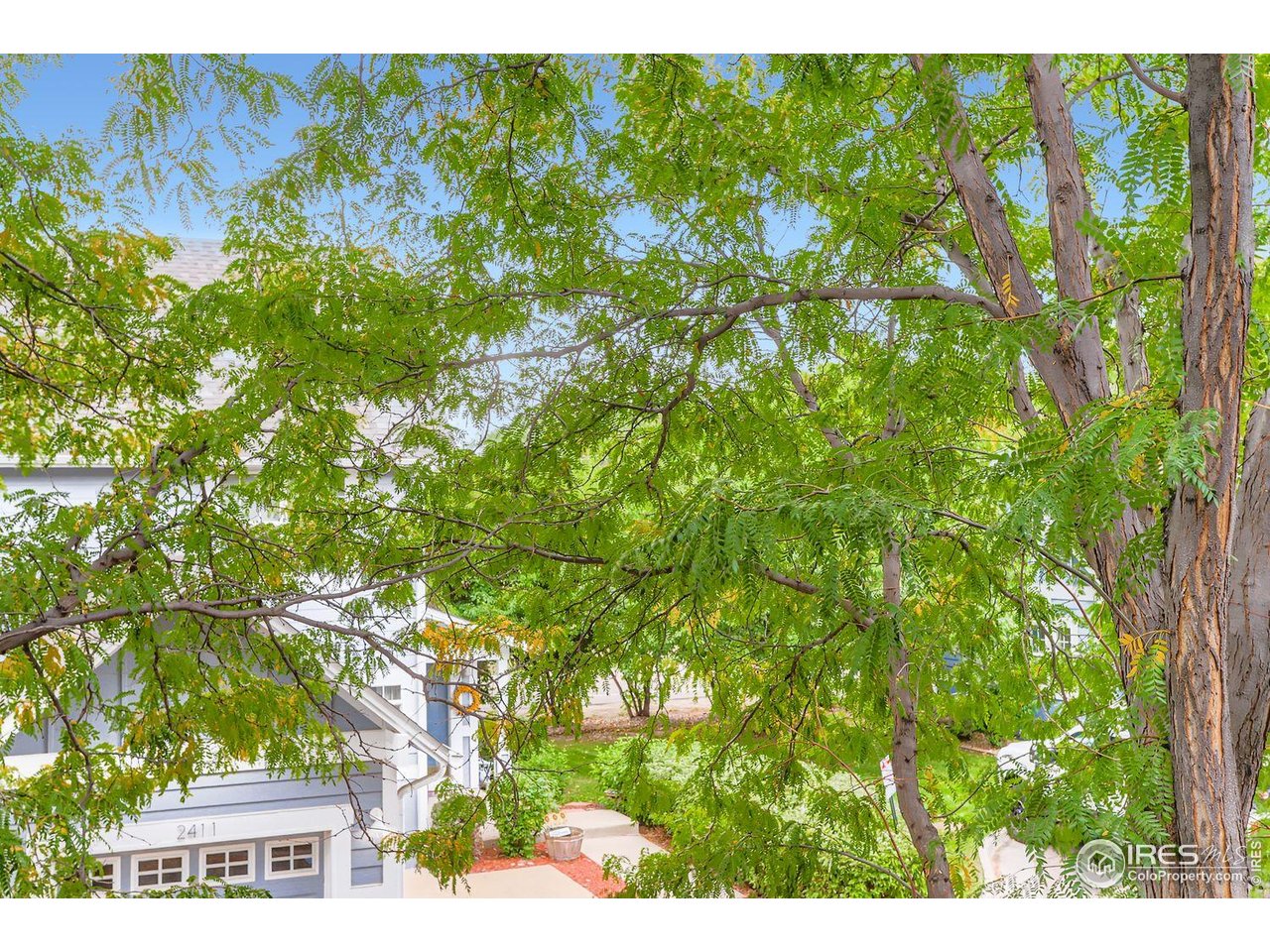 2425 Water Cress Ct