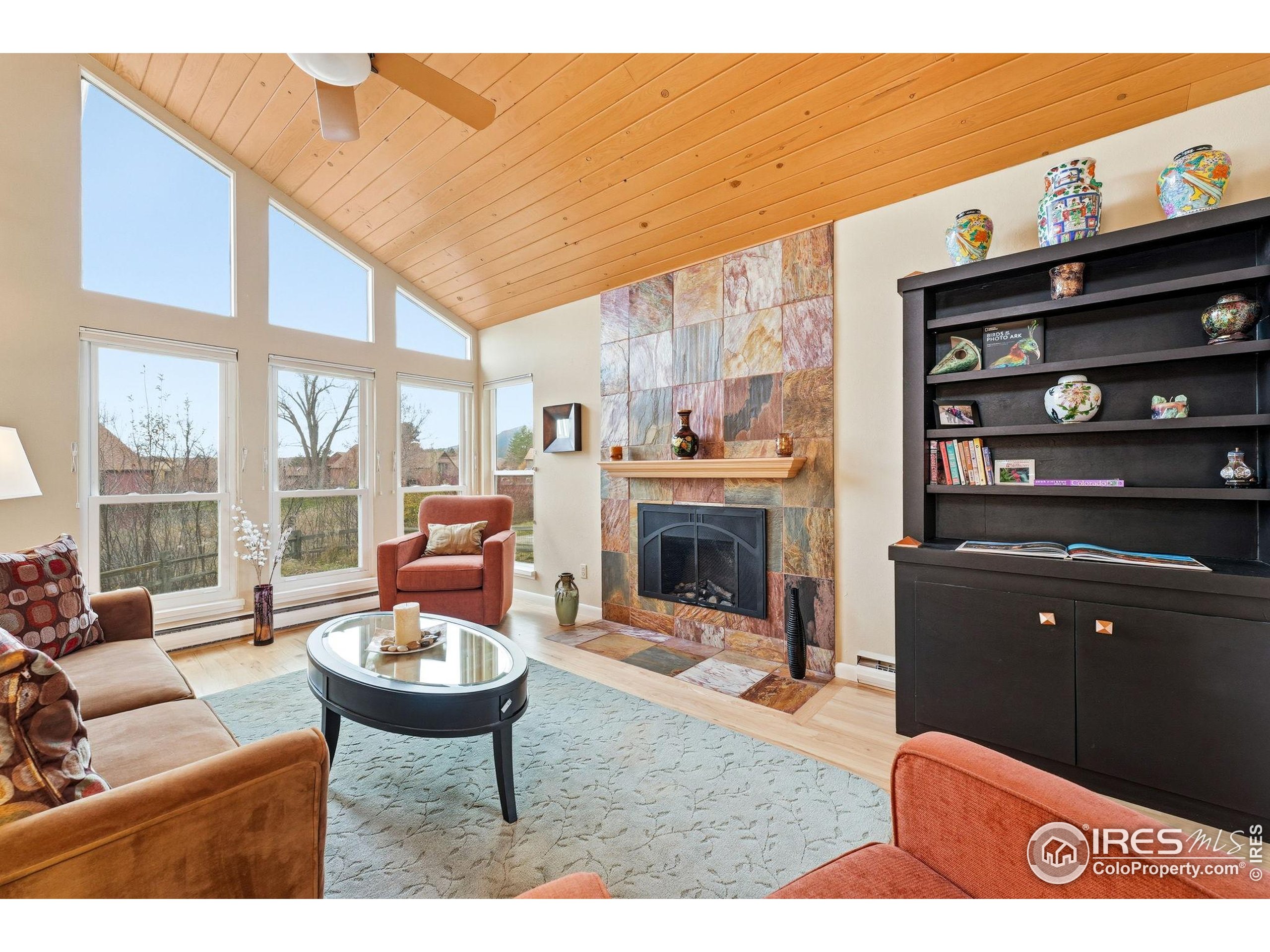 3630 Silver Plume Ln