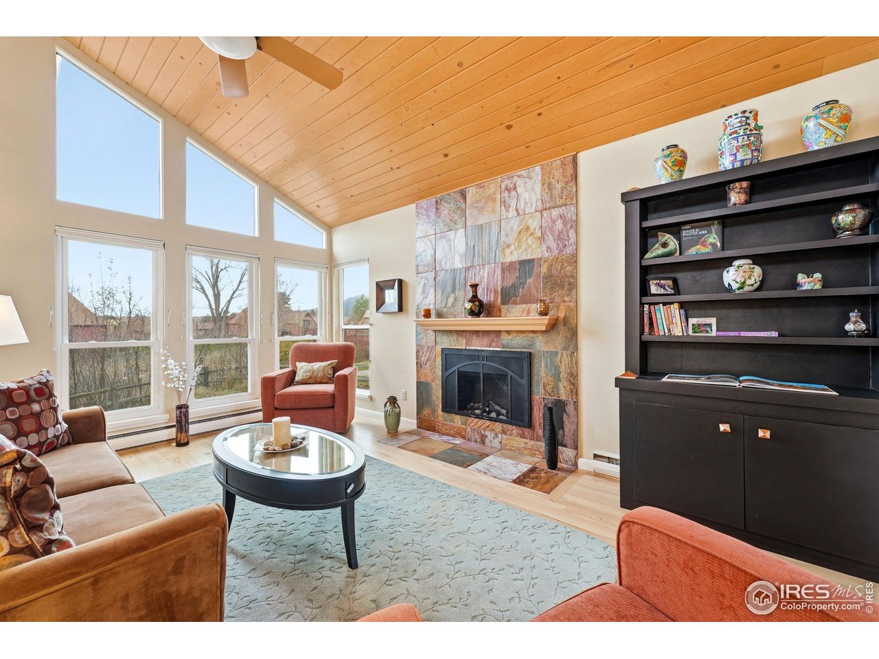 3630 Silver Plume Ln