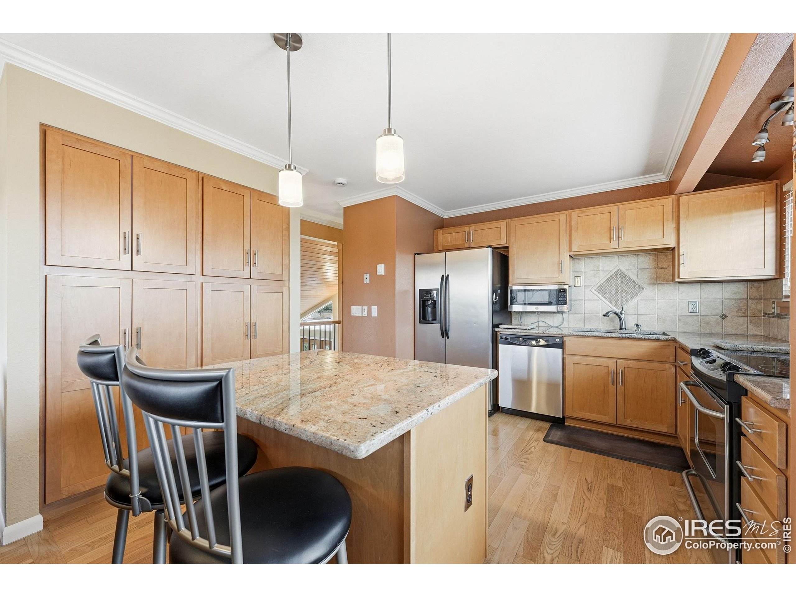 3630 Silver Plume Ln