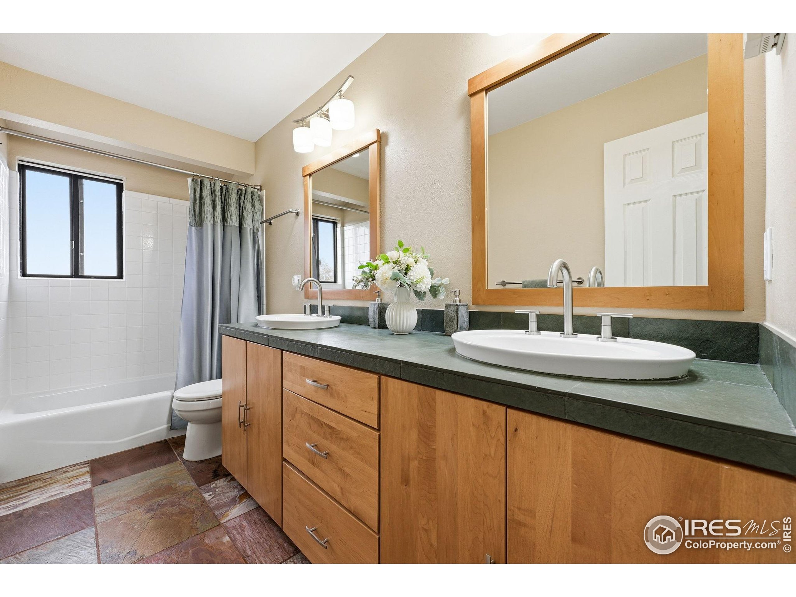 3630 Silver Plume Ln