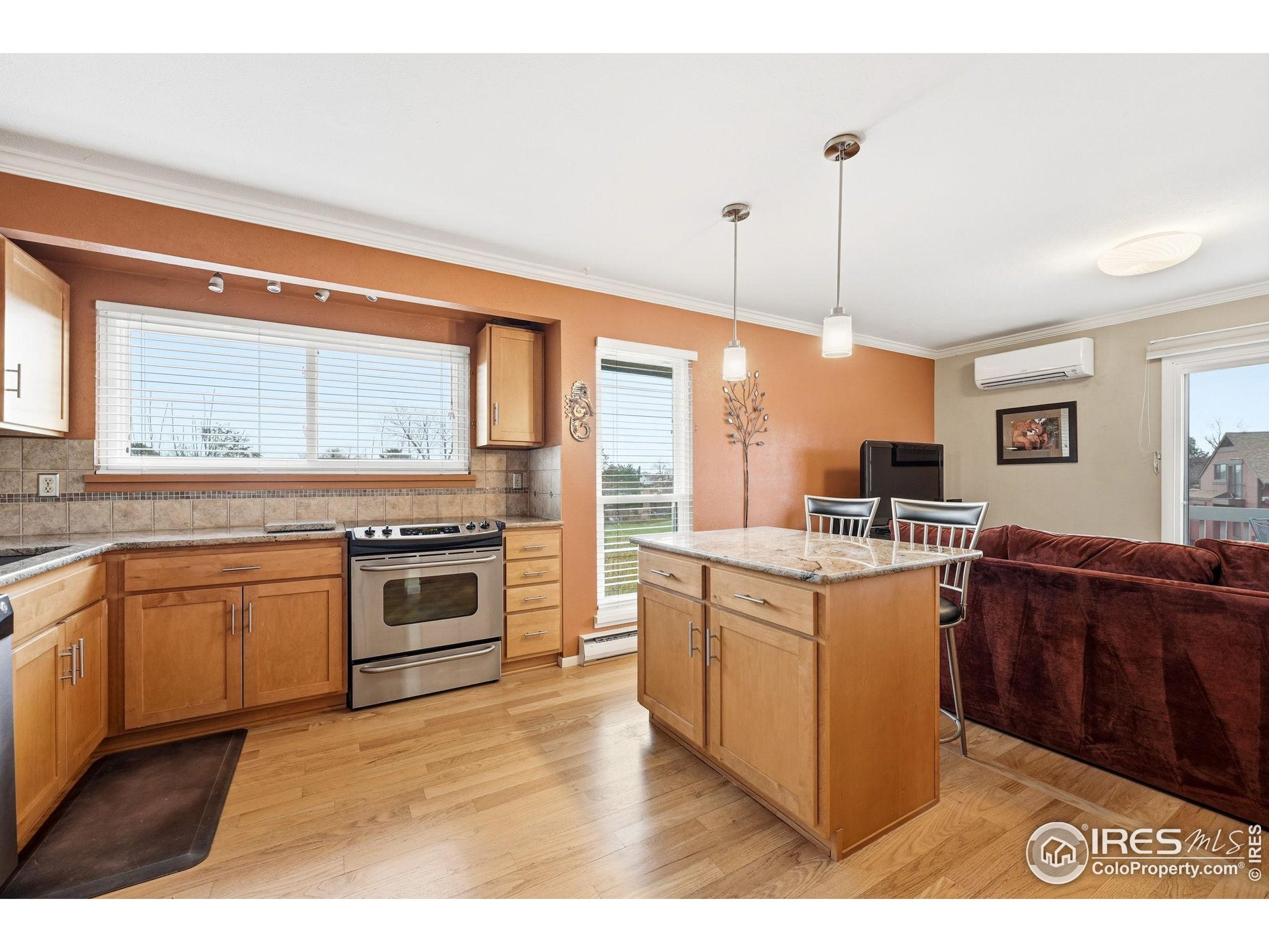 3630 Silver Plume Ln