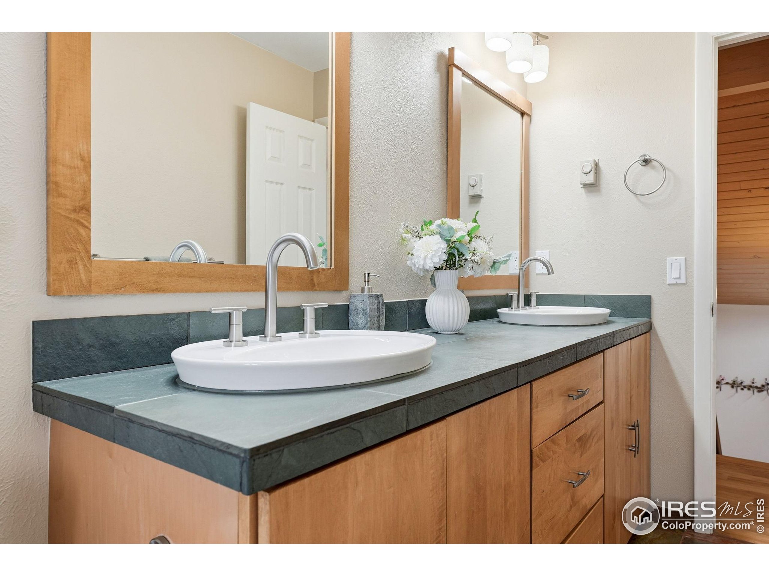 3630 Silver Plume Ln