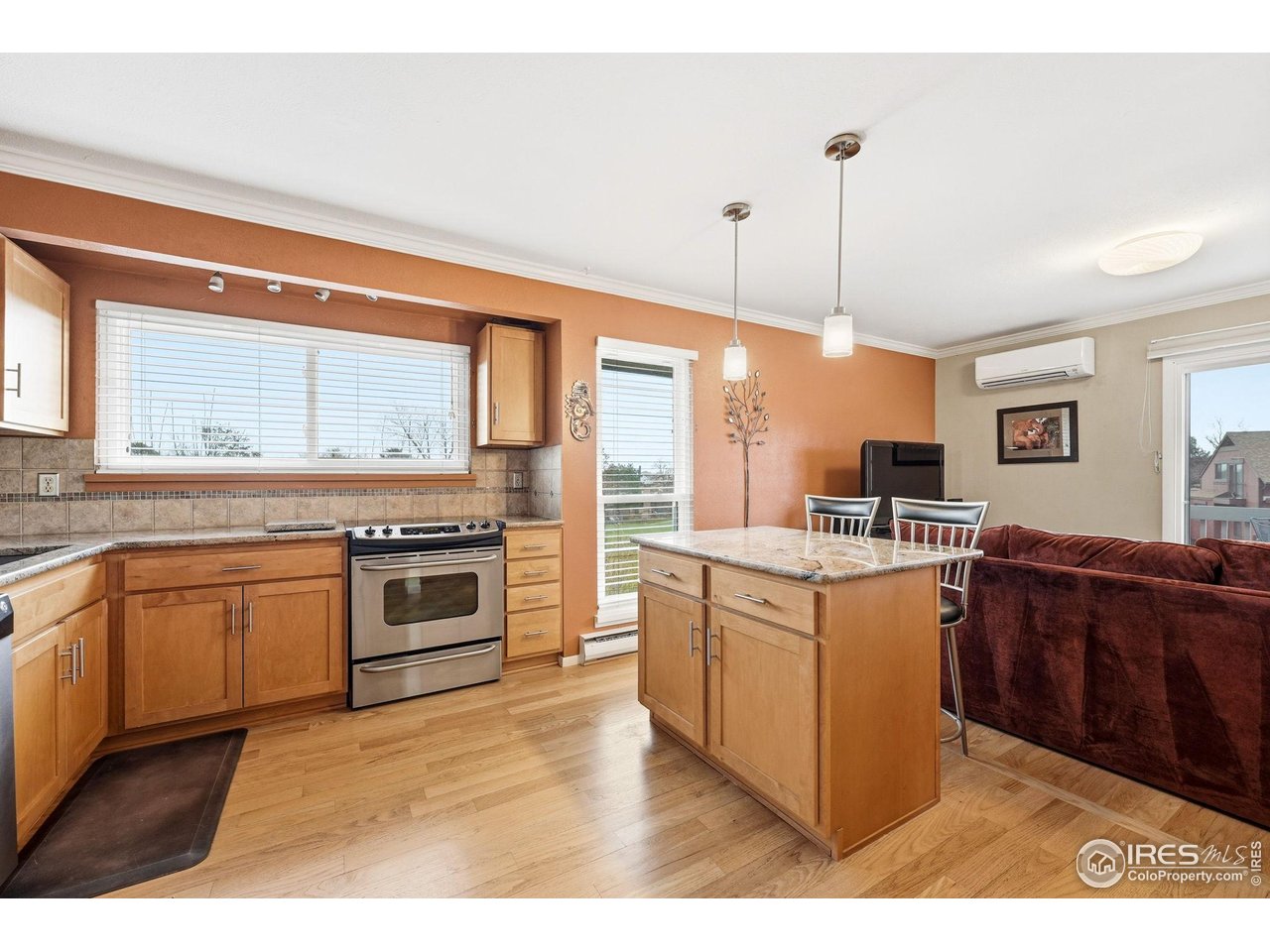 3630 Silver Plume Ln