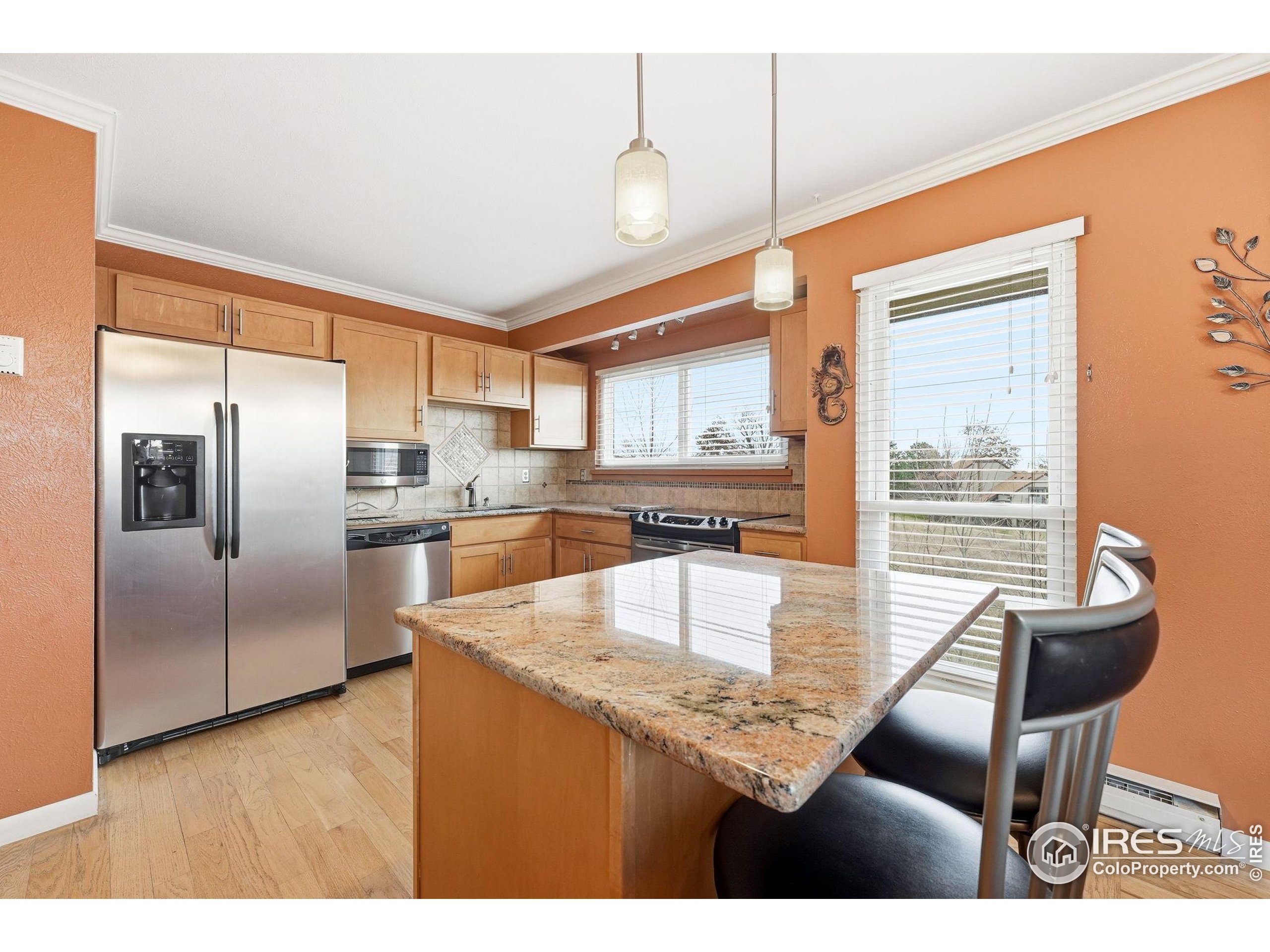 3630 Silver Plume Ln