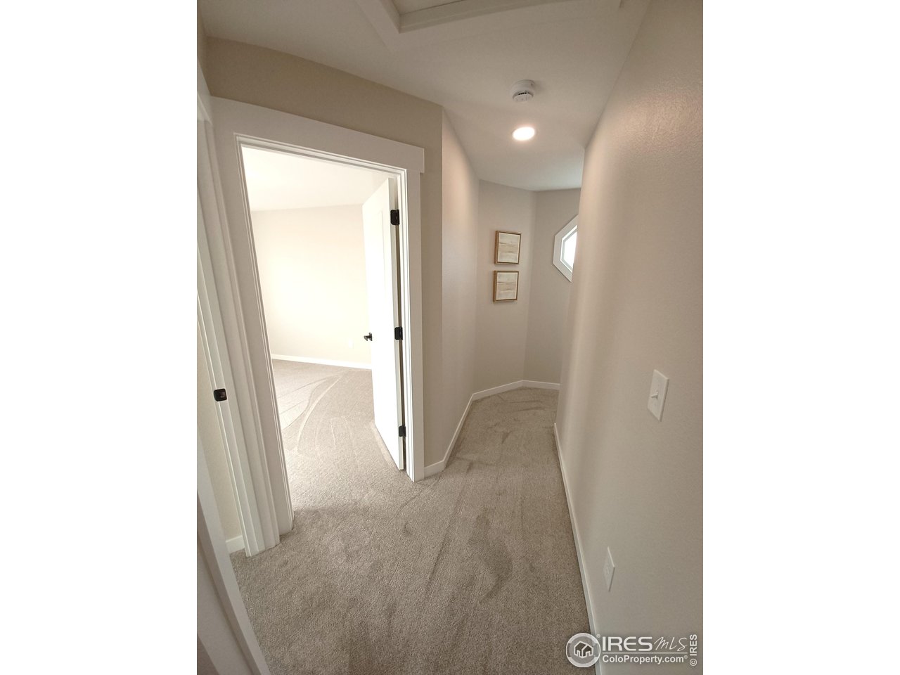 1817 Hayward Pl