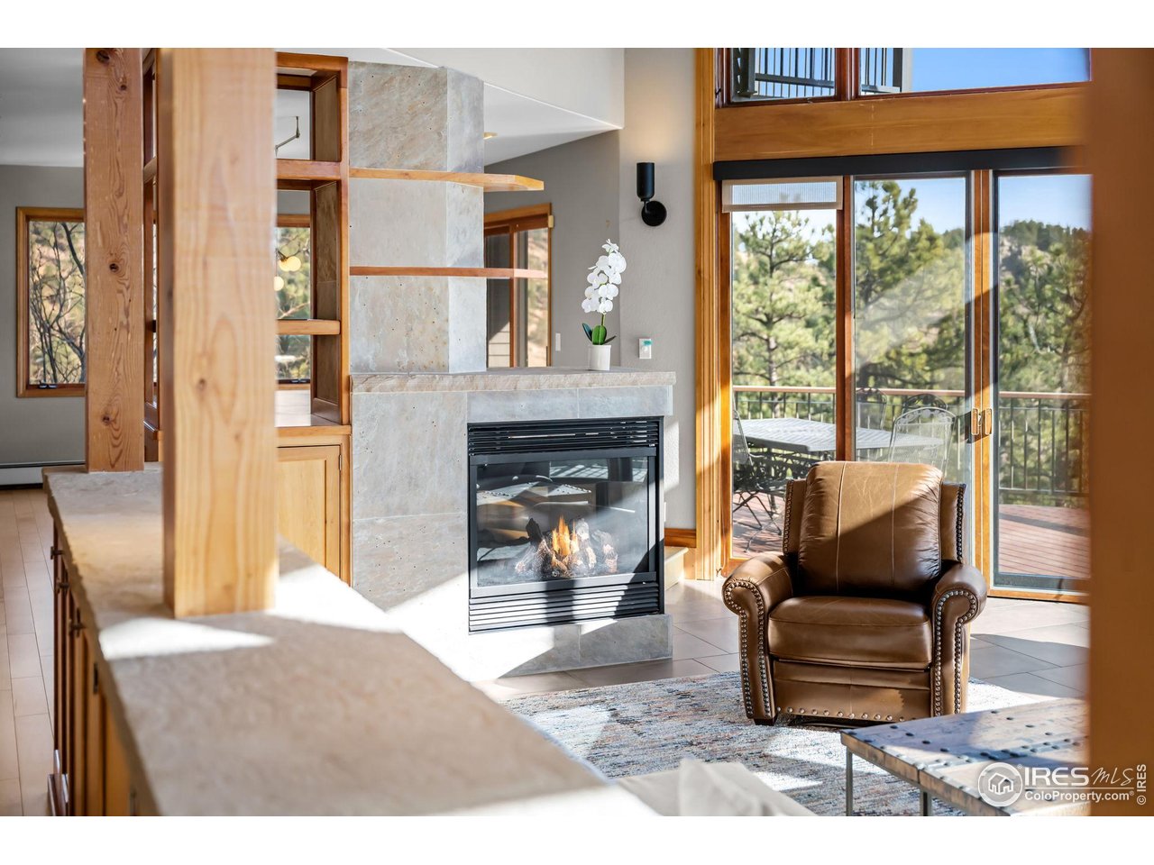 1448 Carriage Hills Dr