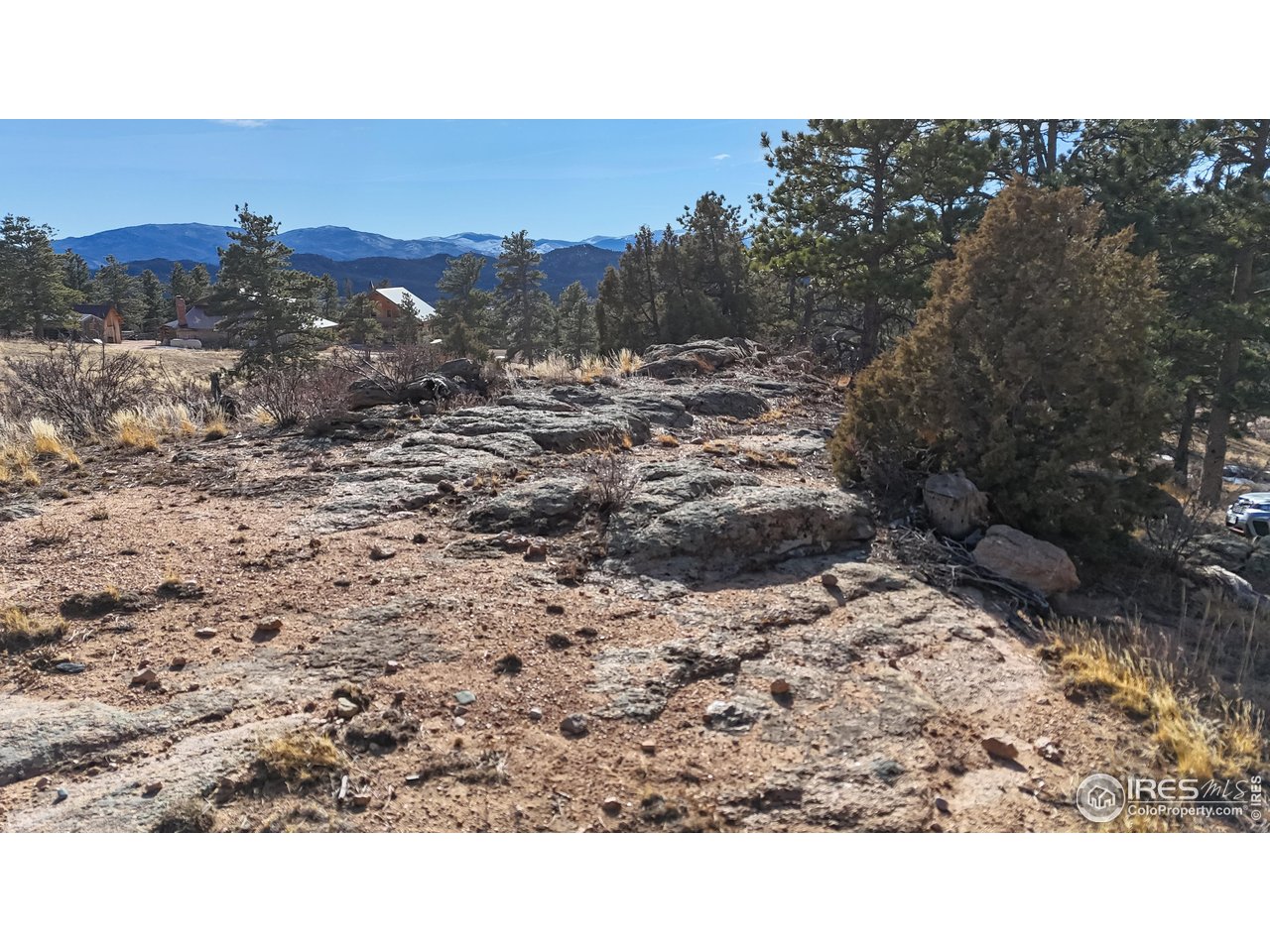 238 Springmeadow Way