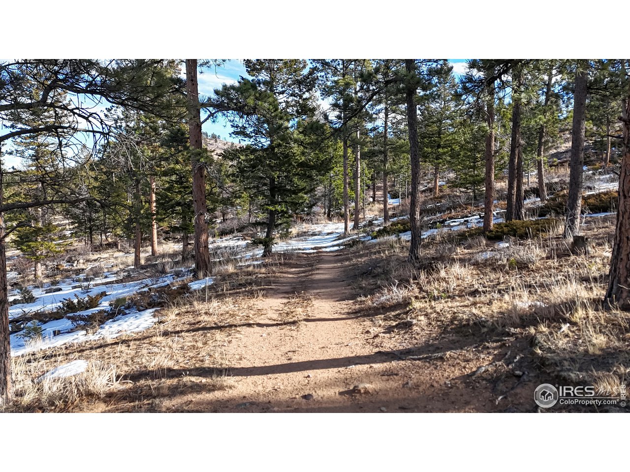 238 Springmeadow Way