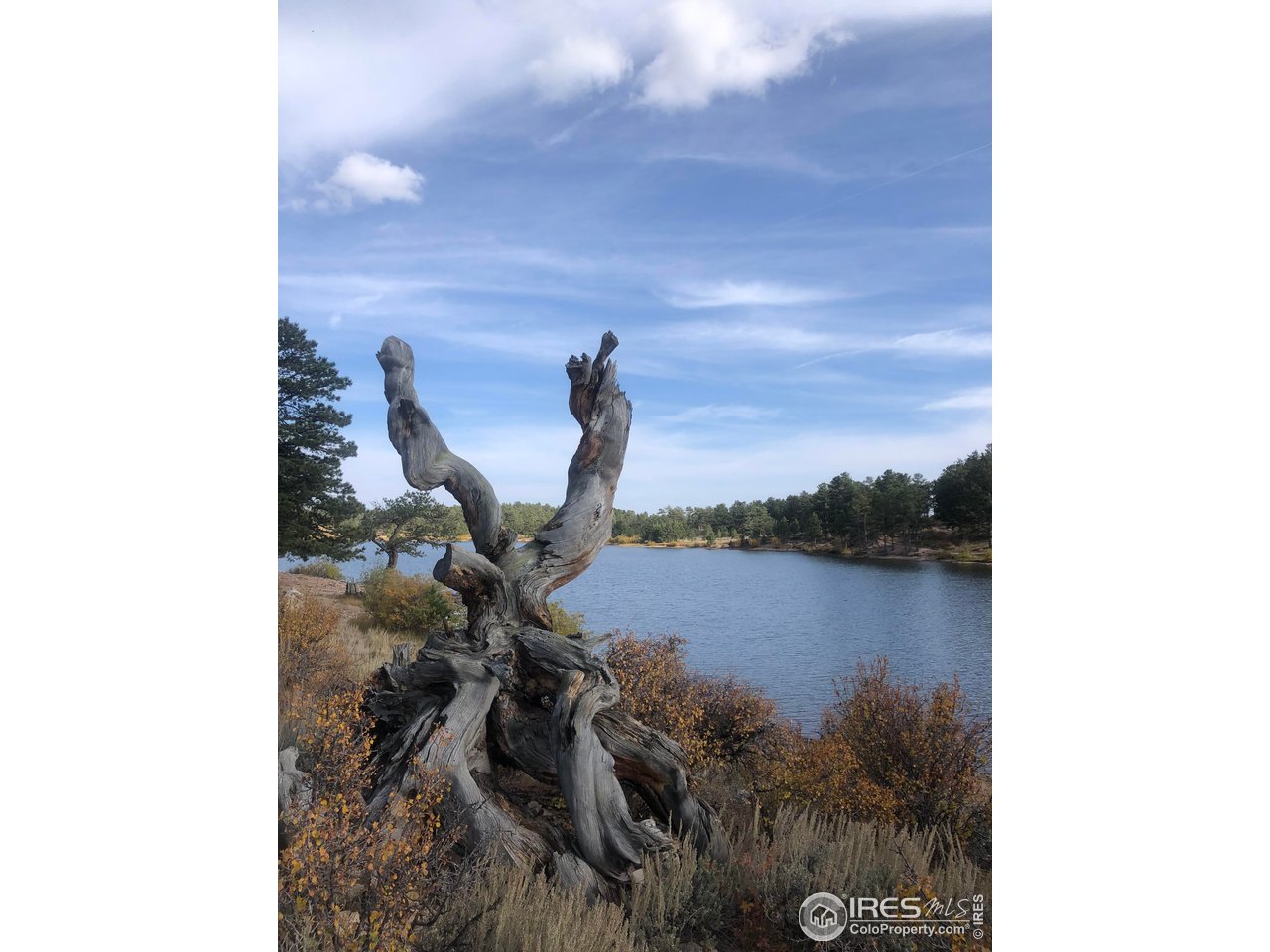 238 Springmeadow Way