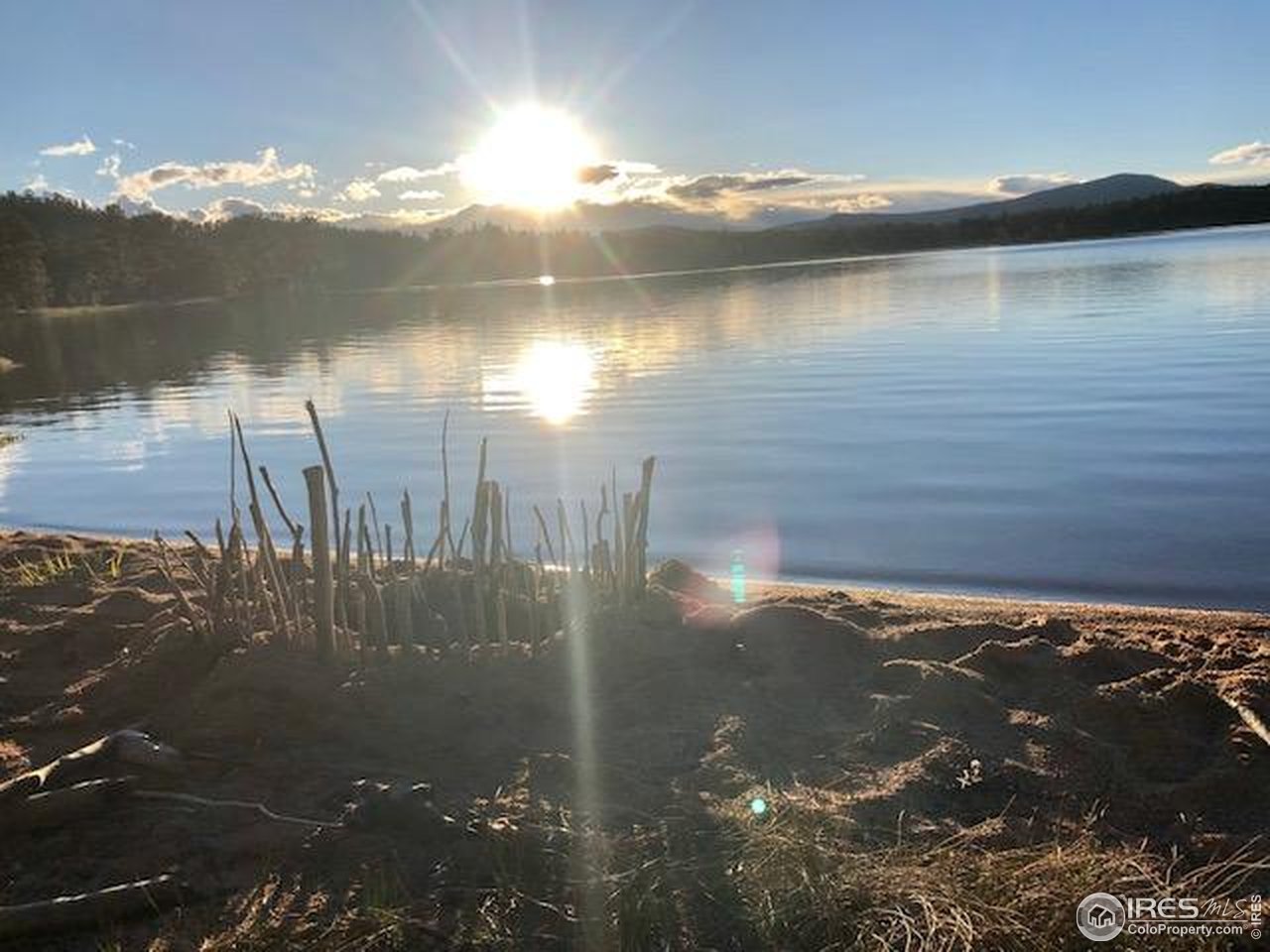 238 Springmeadow Way