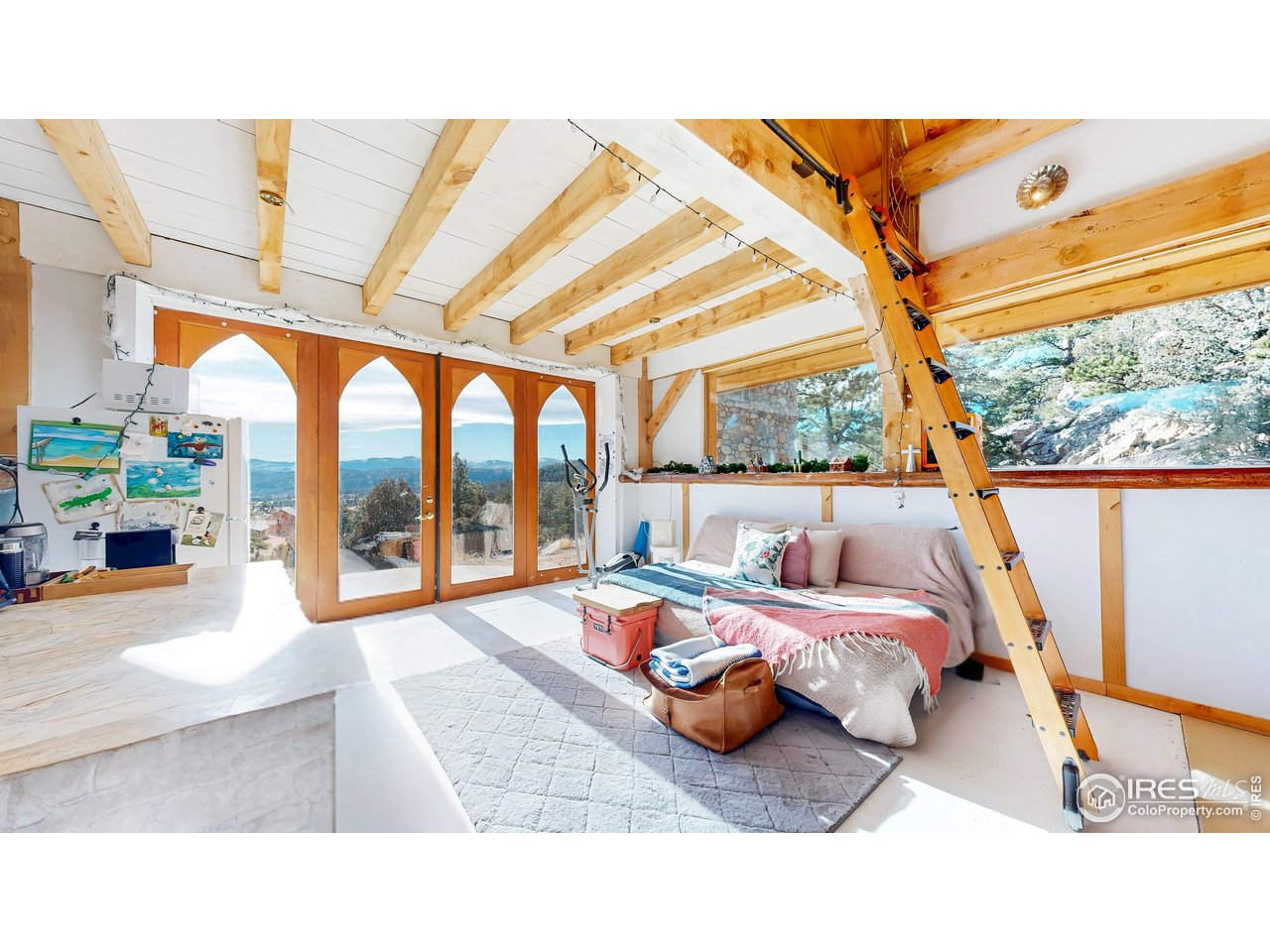 238 Springmeadow Way