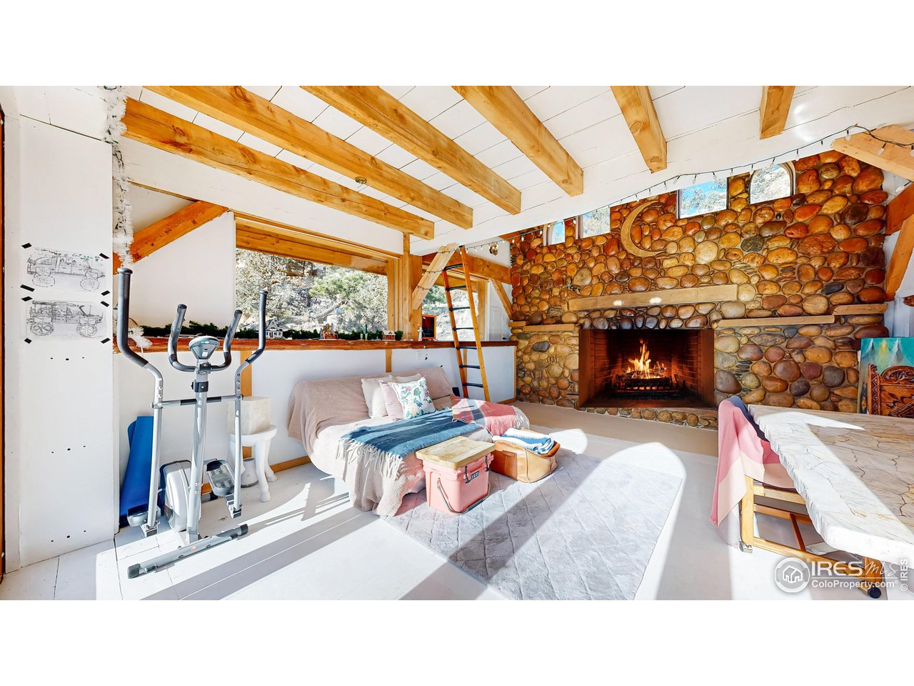 238 Springmeadow Way