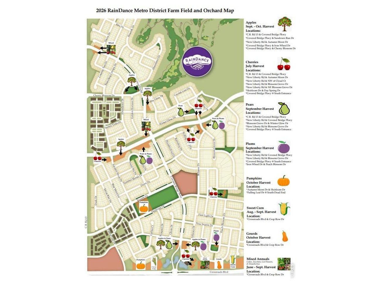 2110 Setting Sun Dr 3