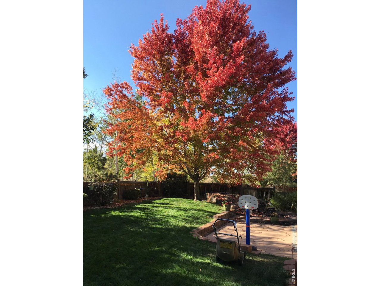 433 Huntington Hills Dr