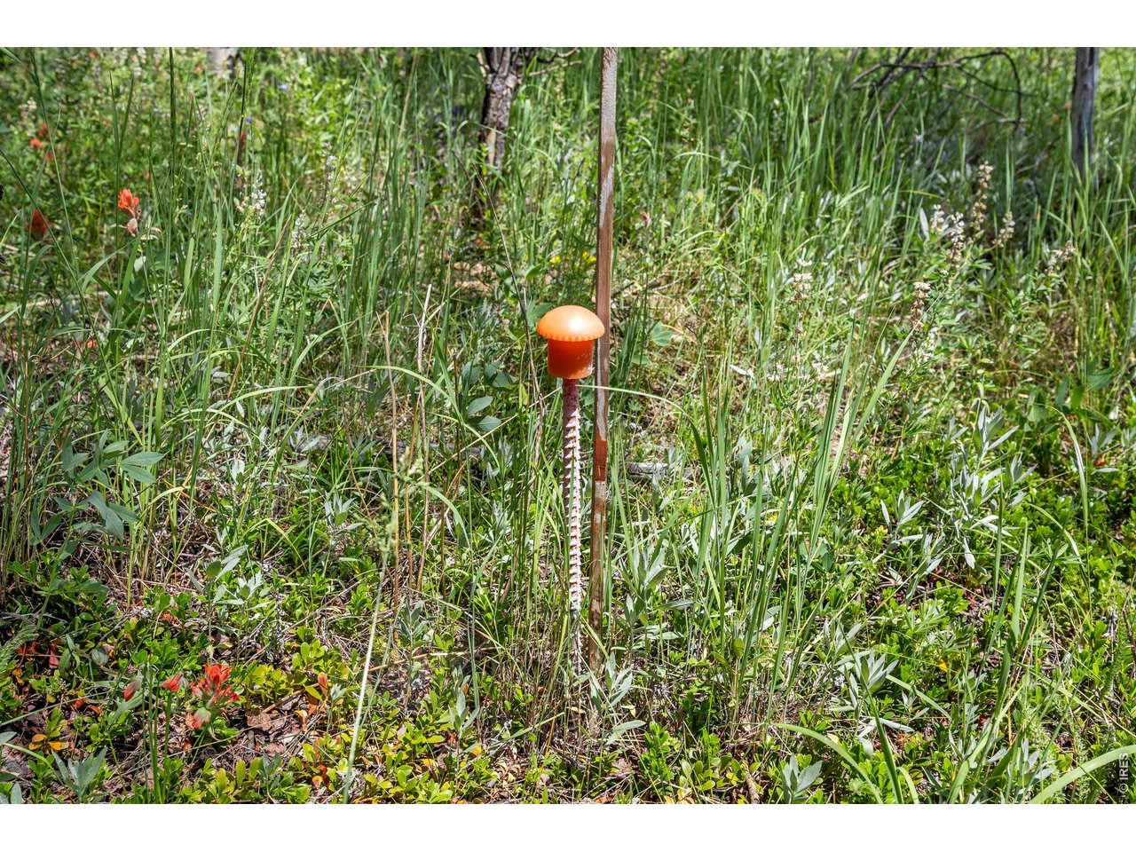 1568 County Road 103