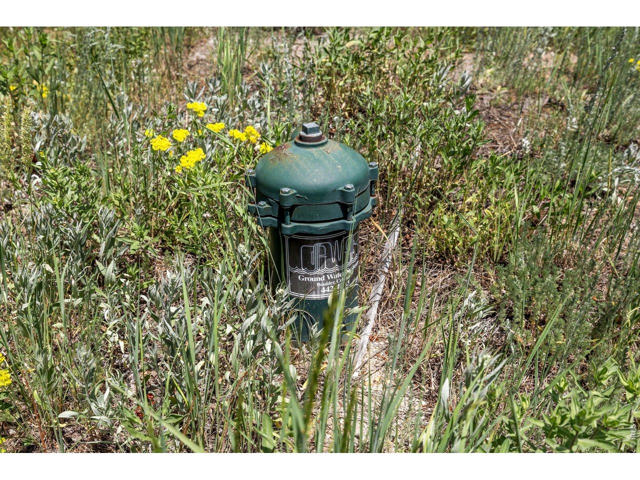 1568 County Road 103