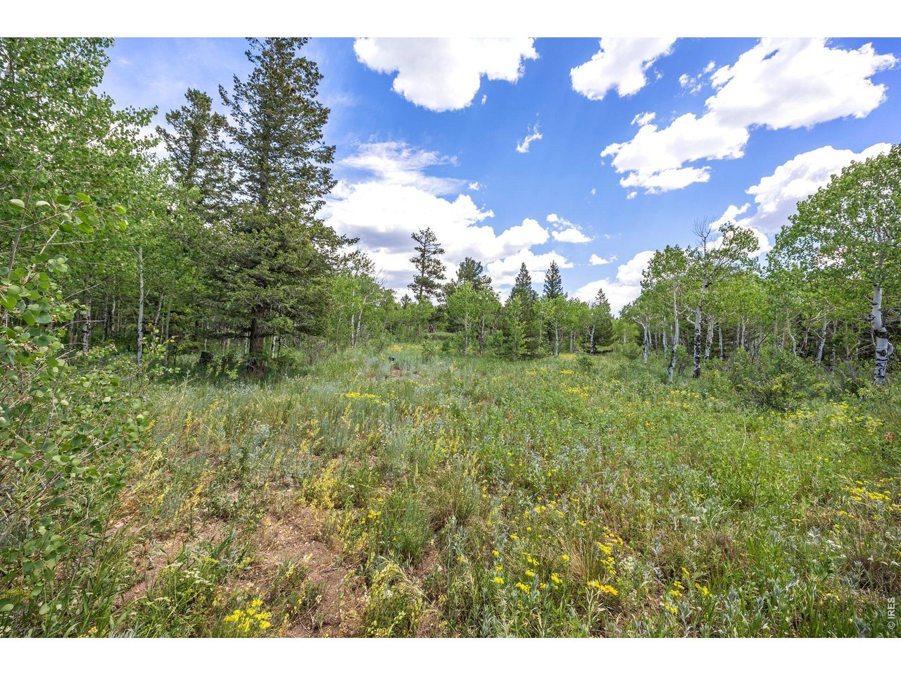 1568 County Road 103