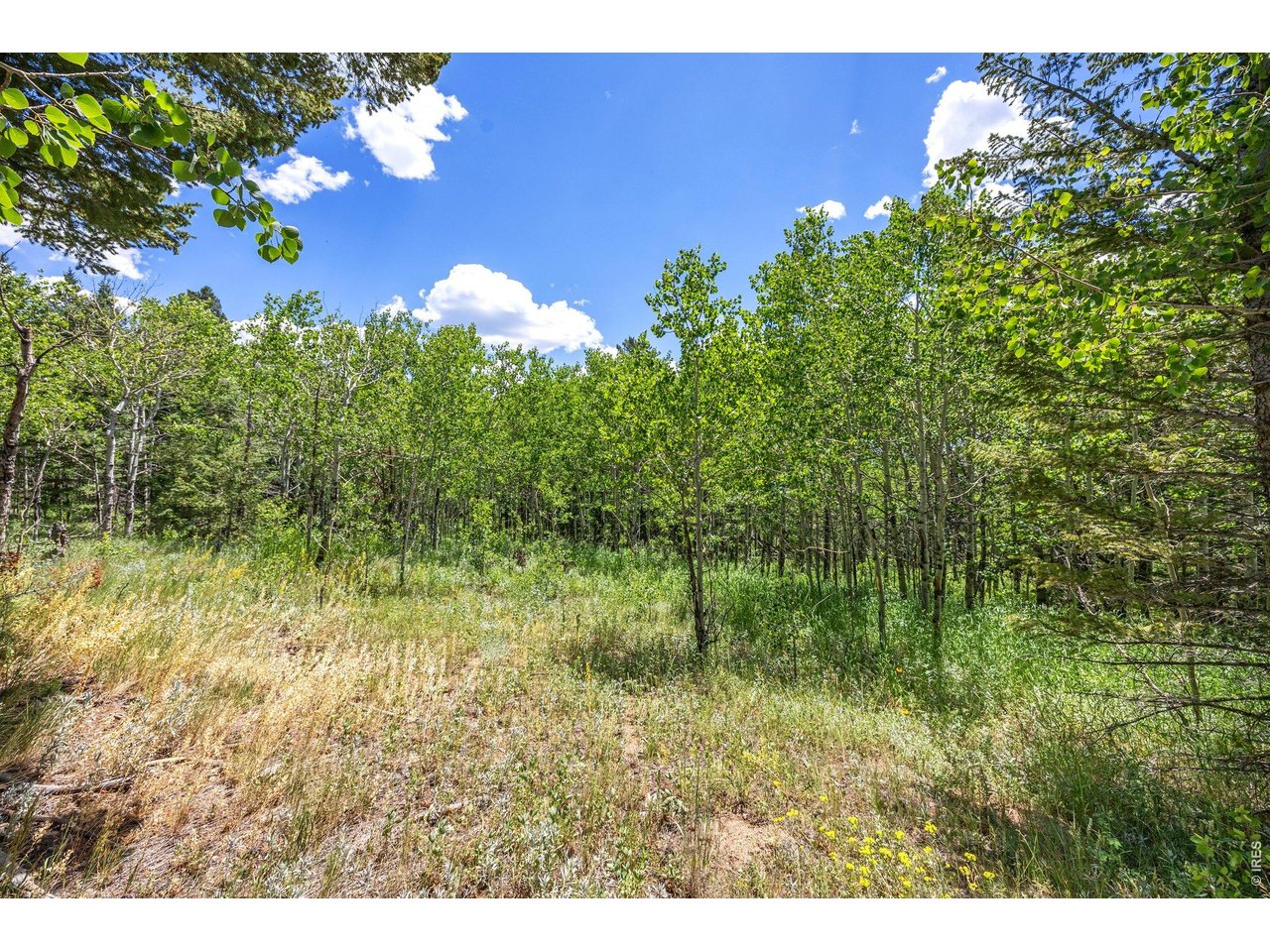 1568 County Road 103