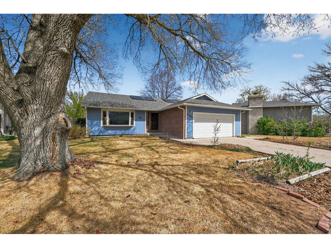2500 Wyandotte Dr