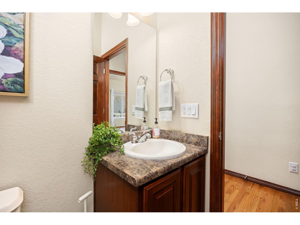 1513 Cannon Mountain Dr