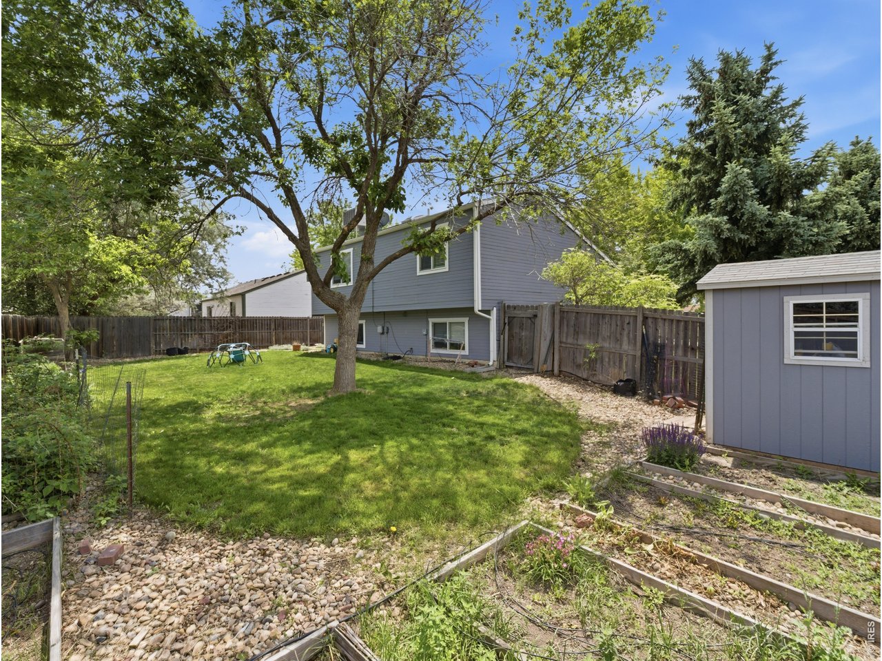 2236 Tulip St