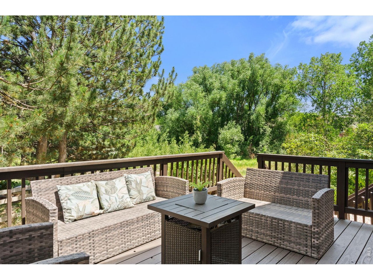 339 Lodgewood Pt