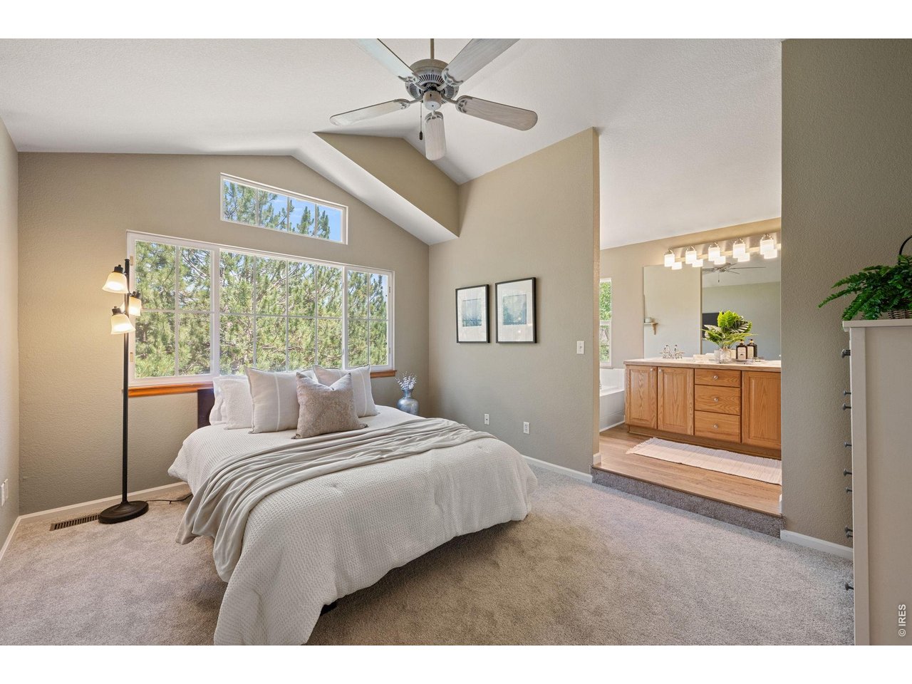 339 Lodgewood Pt
