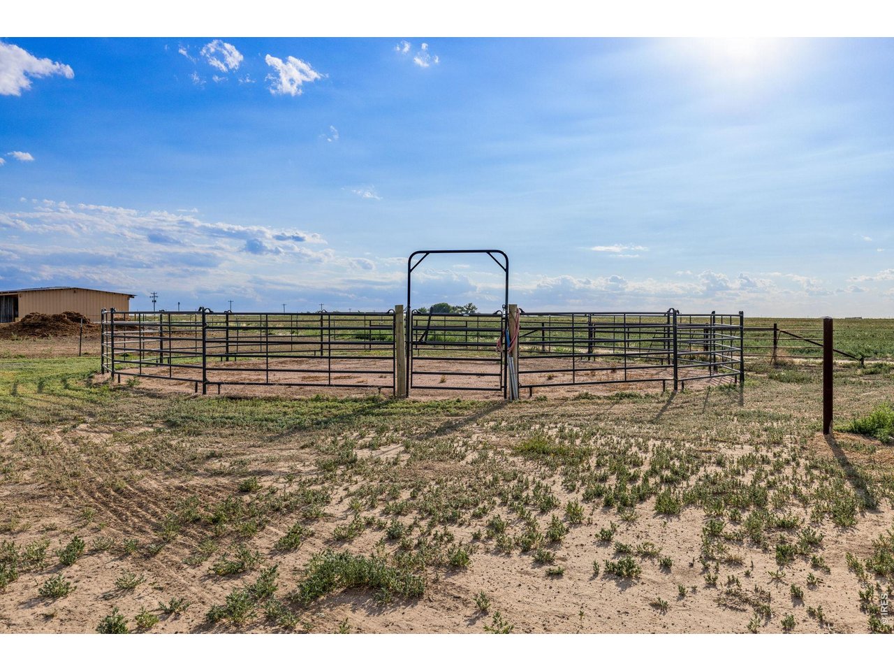 37101 County Road 59