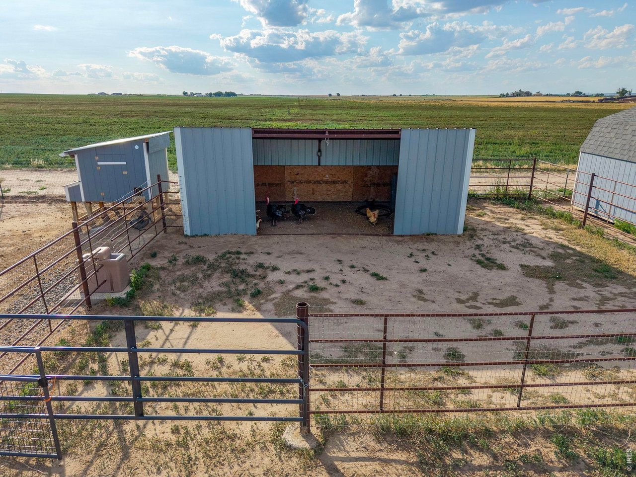 37101 County Road 59
