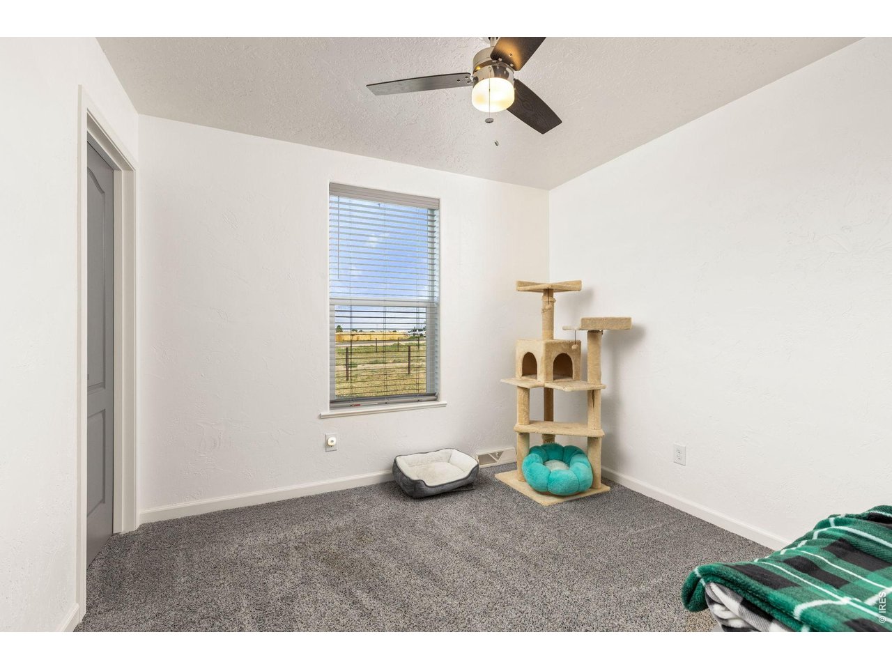 37101 County Road 59