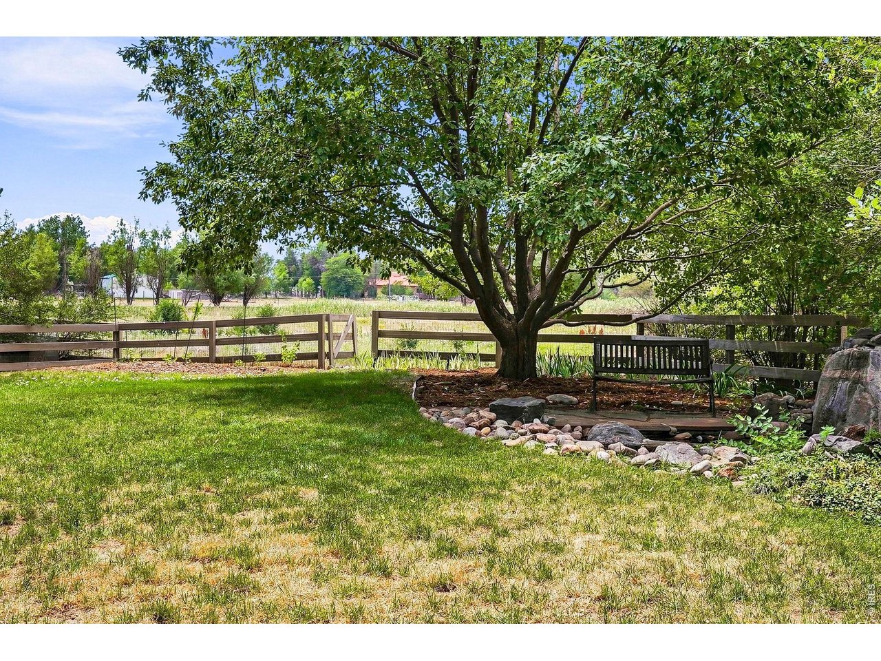 2854 Blue Jay Way
