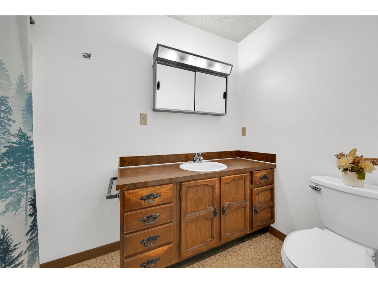 17068 County Road 81