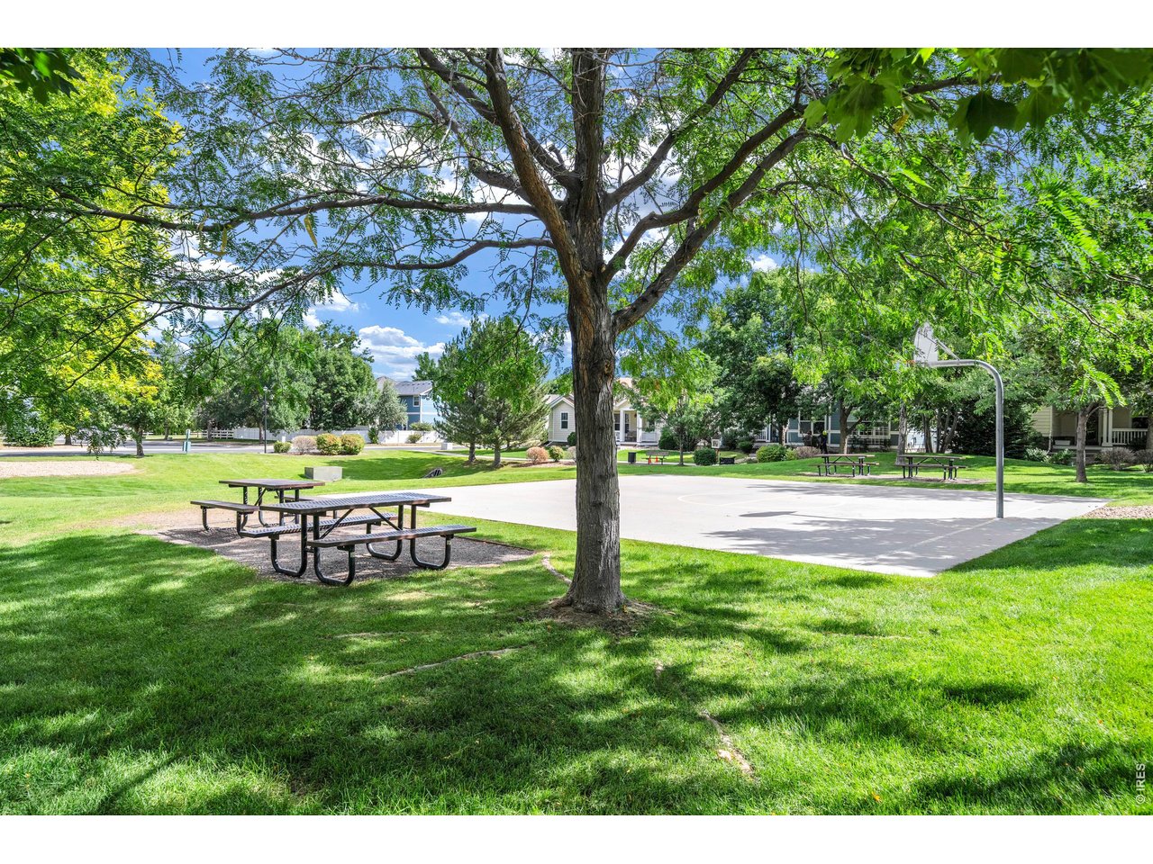 4130 Arezzo Dr