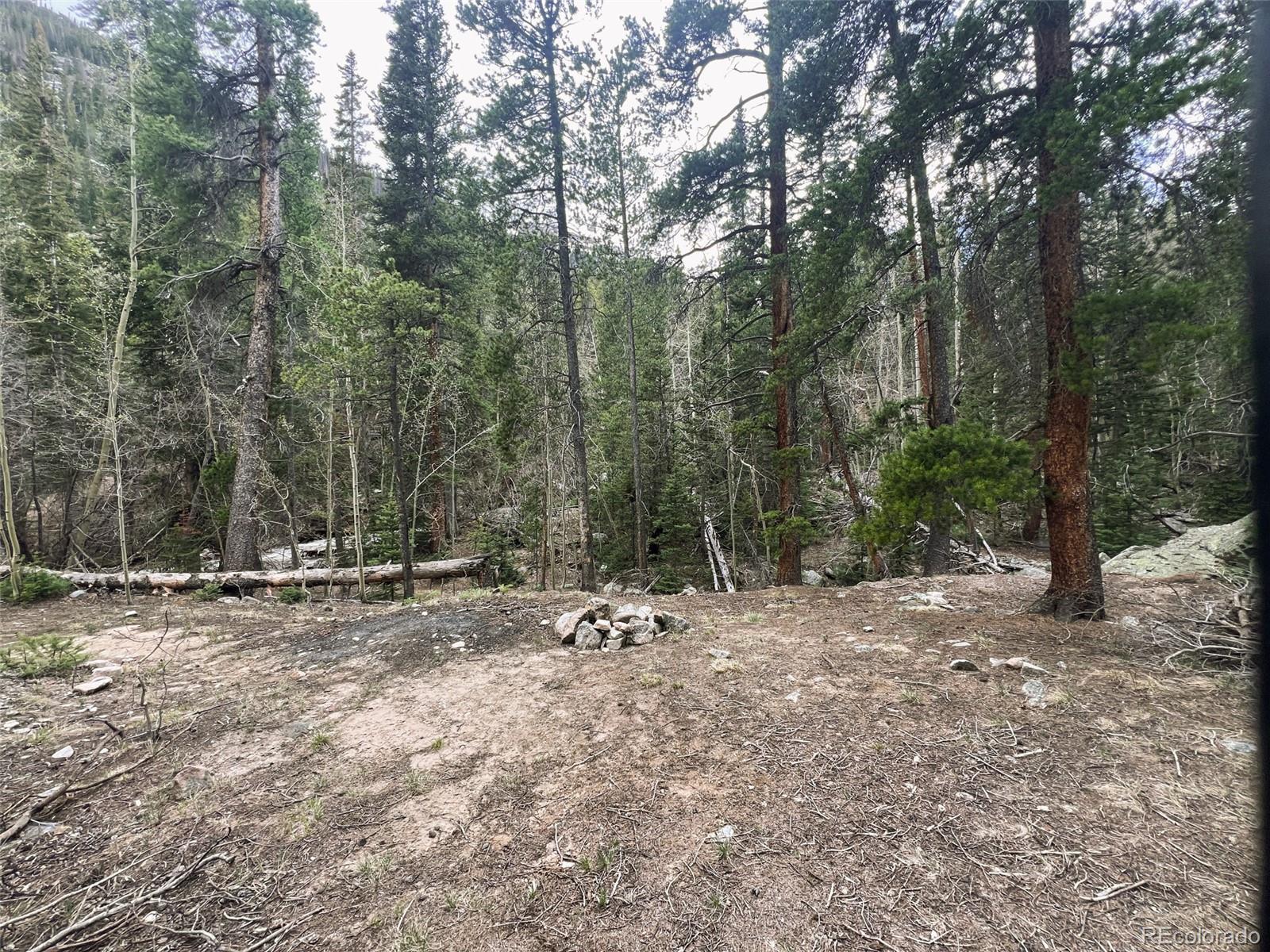 000 Unassigned Forest Road 365 Avenue